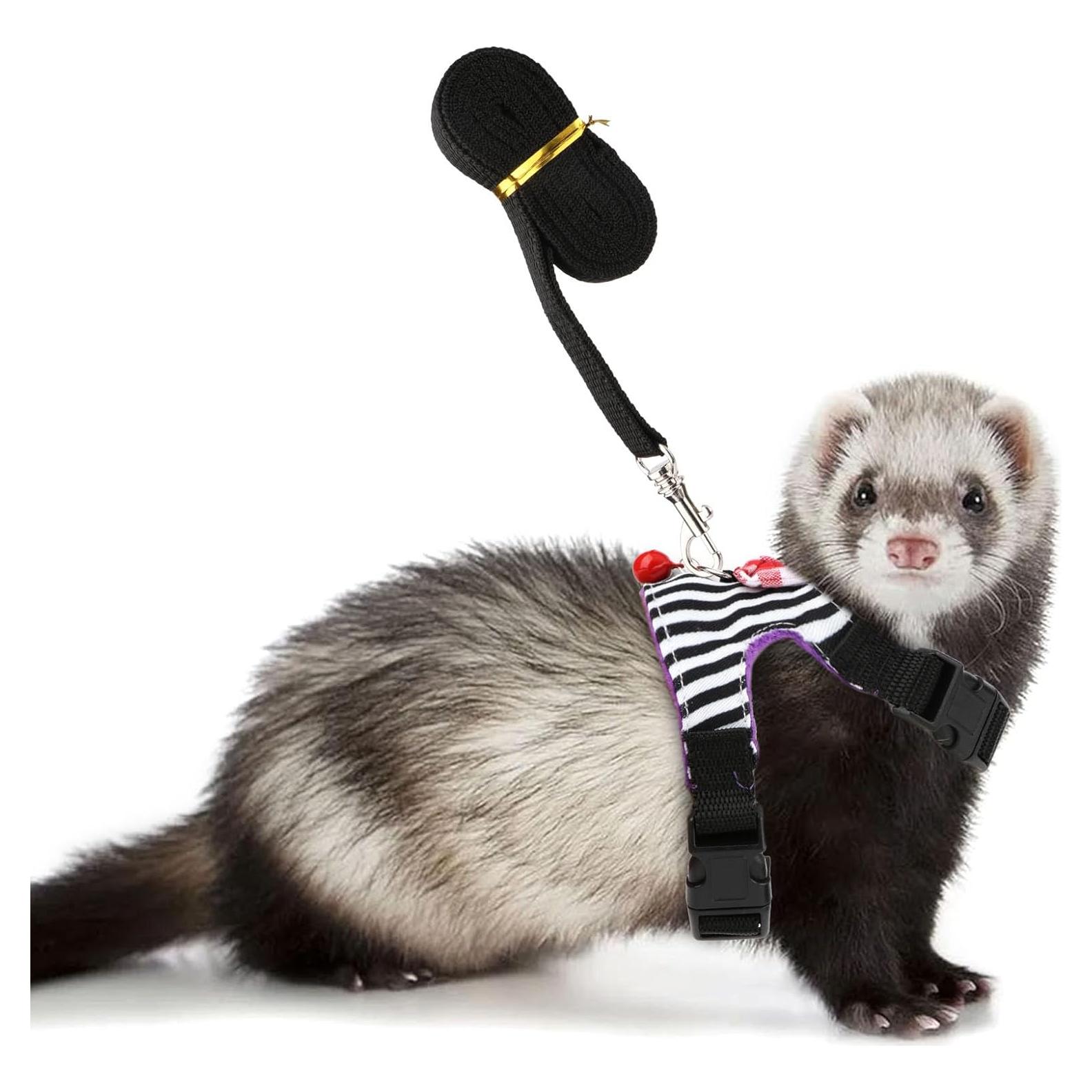 Conjunto Arnés y Correa para Mascotas Pequeñas Wontee S Raya Negra