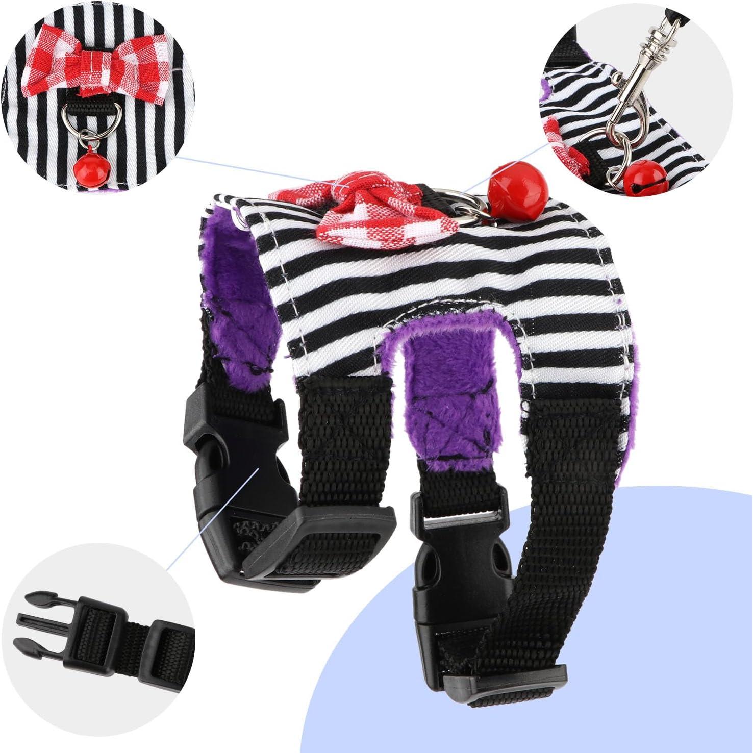 Conjunto Arnés y Correa para Mascotas Pequeñas Wontee S Raya Negra