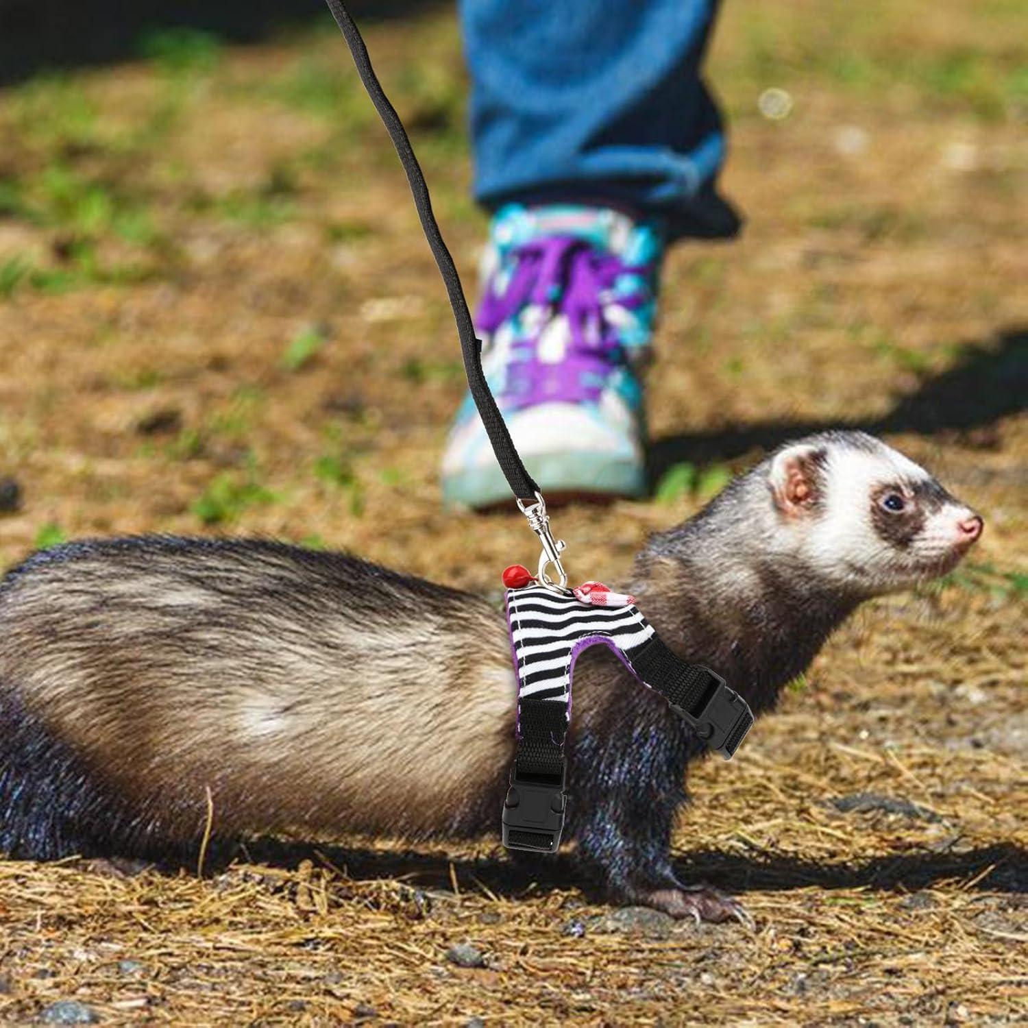 Conjunto Arnés y Correa para Mascotas Pequeñas Wontee S Raya Negra