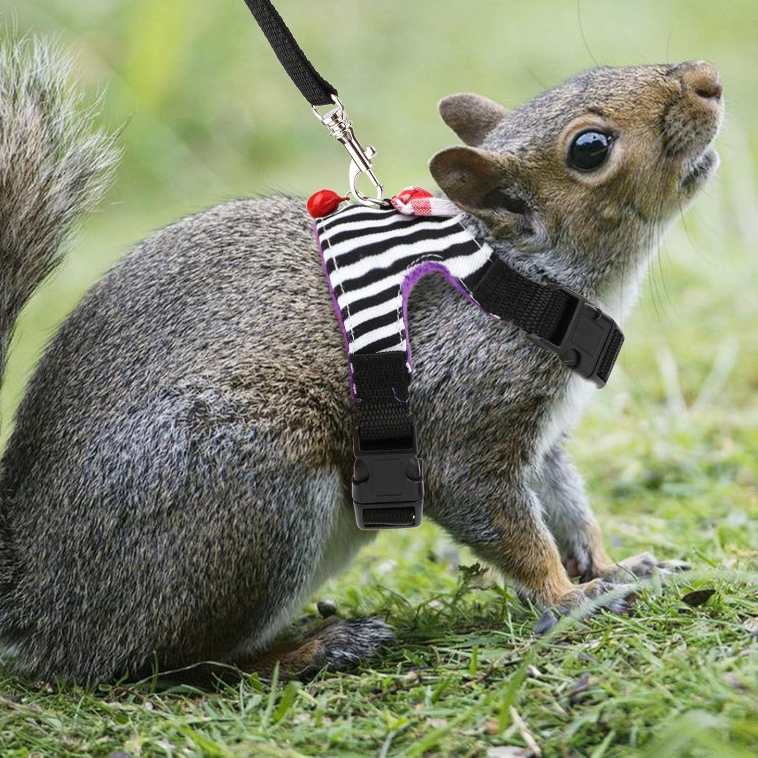 Conjunto Arnés y Correa para Mascotas Pequeñas Wontee S Raya Negra
