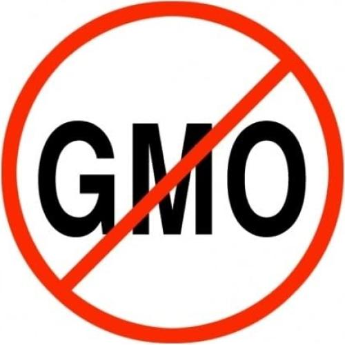 Dulces de Regaliz Orgánico ZOT con Anís - 68g (Paquete de 6)