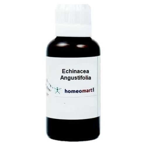 Dilución Homeopática Echinacea Angustifolia 1M 100ml