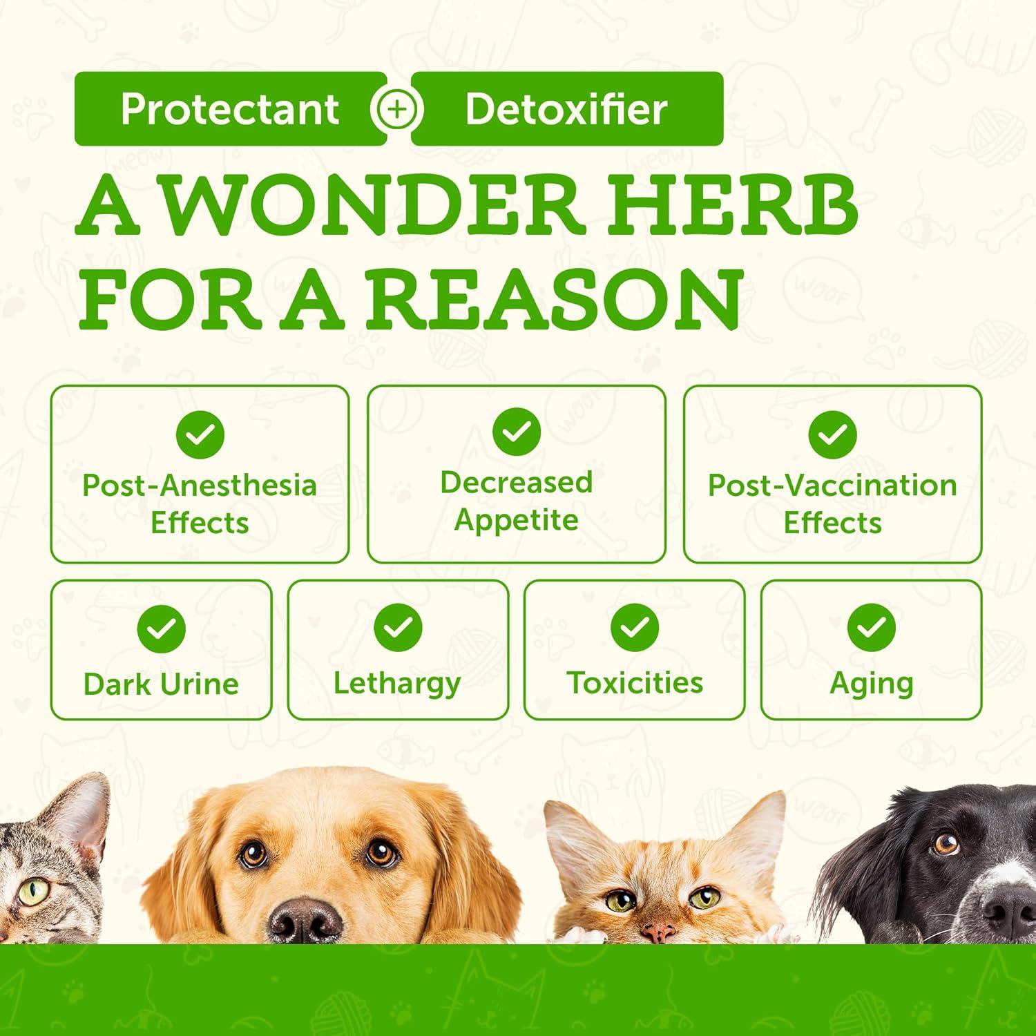 Suplemento Cardo Mariano Esencial de Animales 30ml para Perros y Gatos