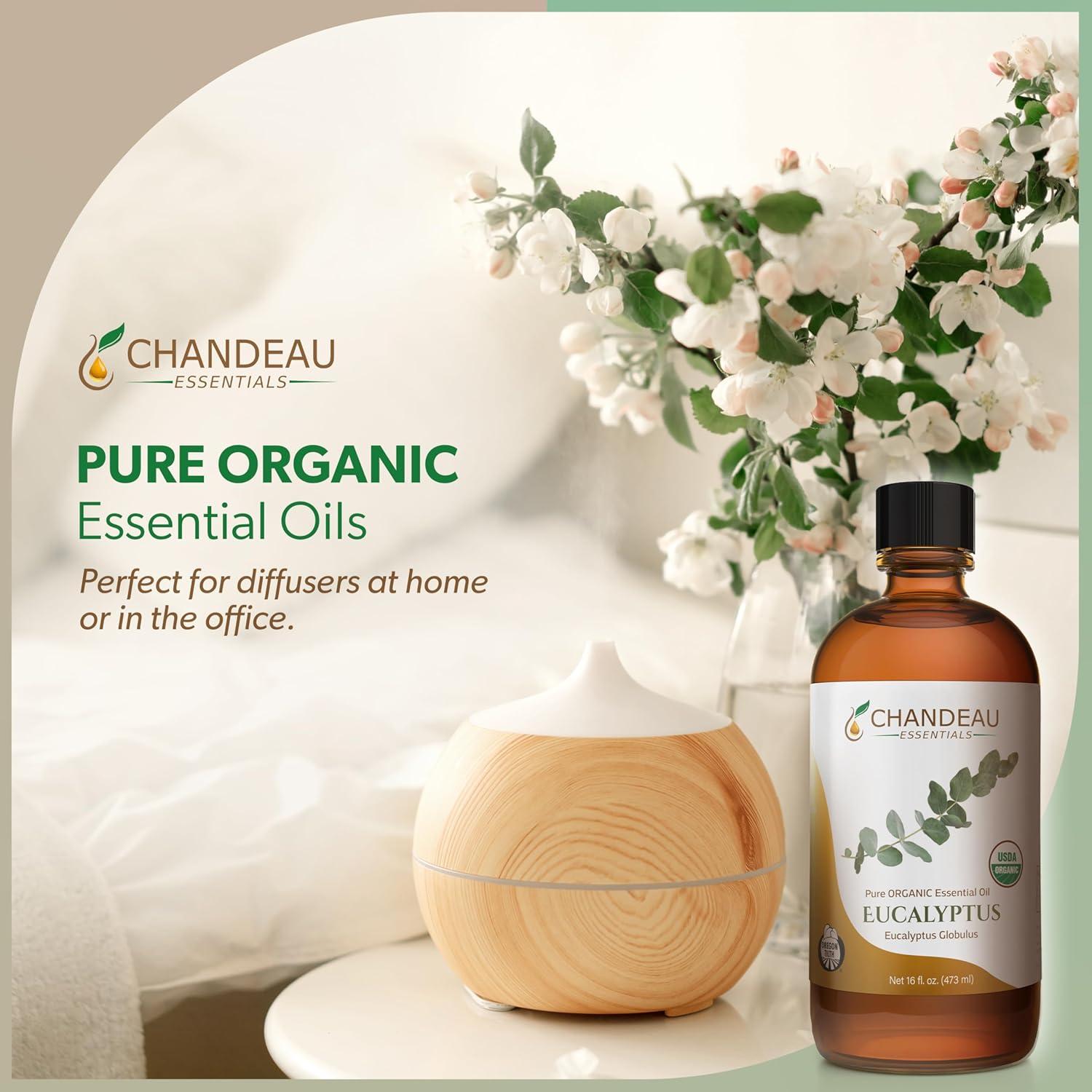 Aceite Esencial Orgánico Puro Eucalipto Chandeau 473 ml