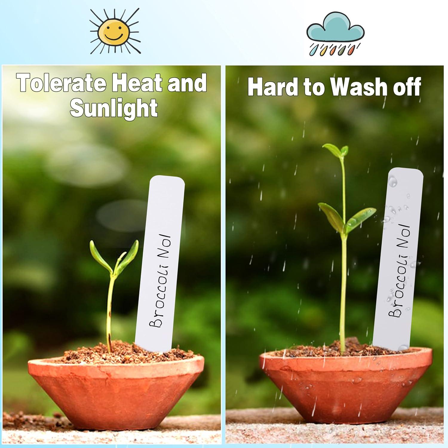 Etiquetas para Plantas 300 Pcs TDHDKE 10cm Plástico Colorido