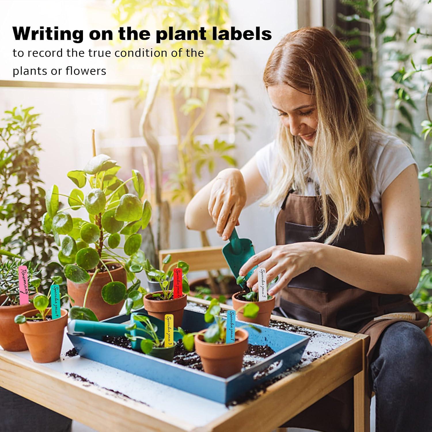 Etiquetas para Plantas 300 Pcs TDHDKE 10cm Plástico Colorido