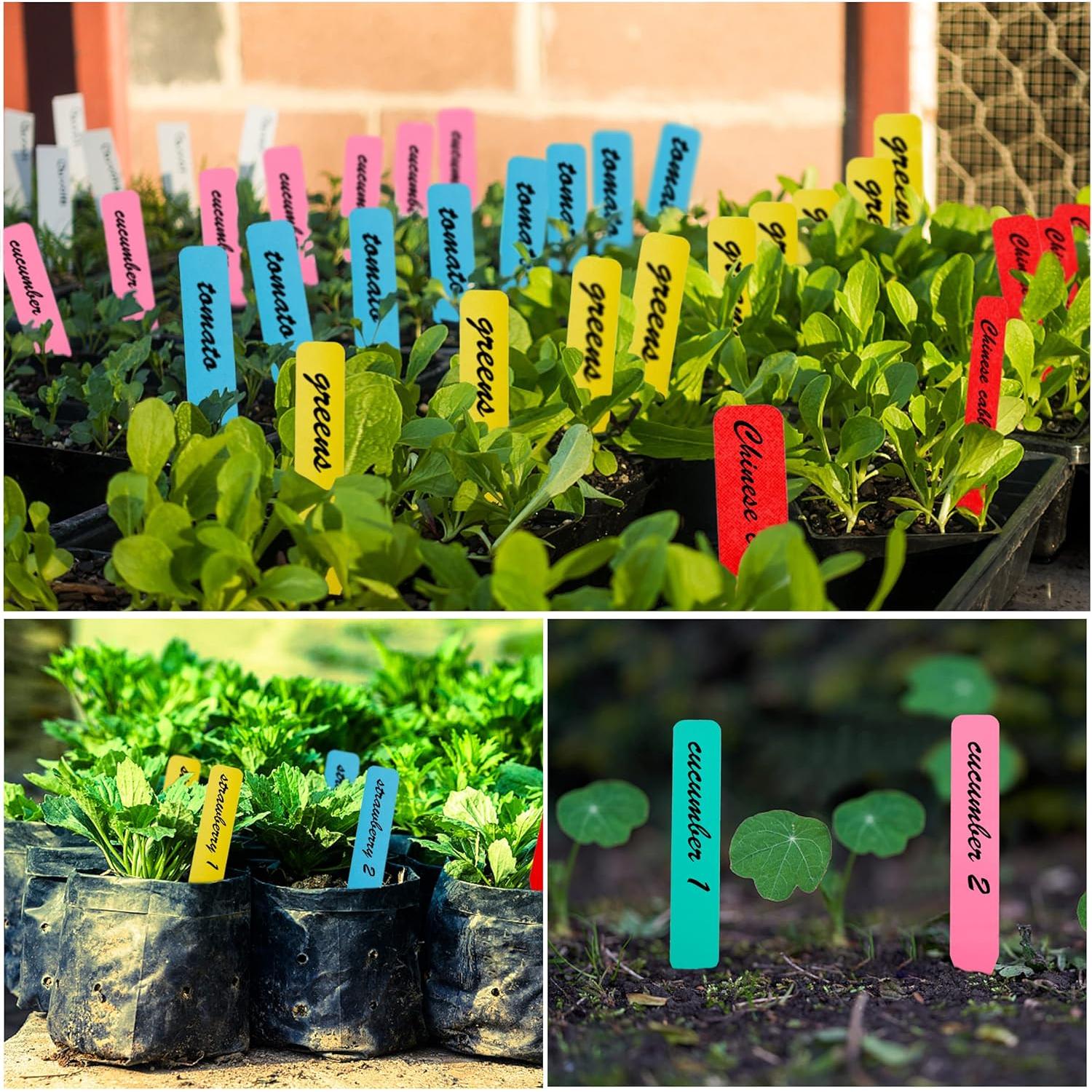 Etiquetas para Plantas 300 Pcs TDHDKE 10cm Plástico Colorido