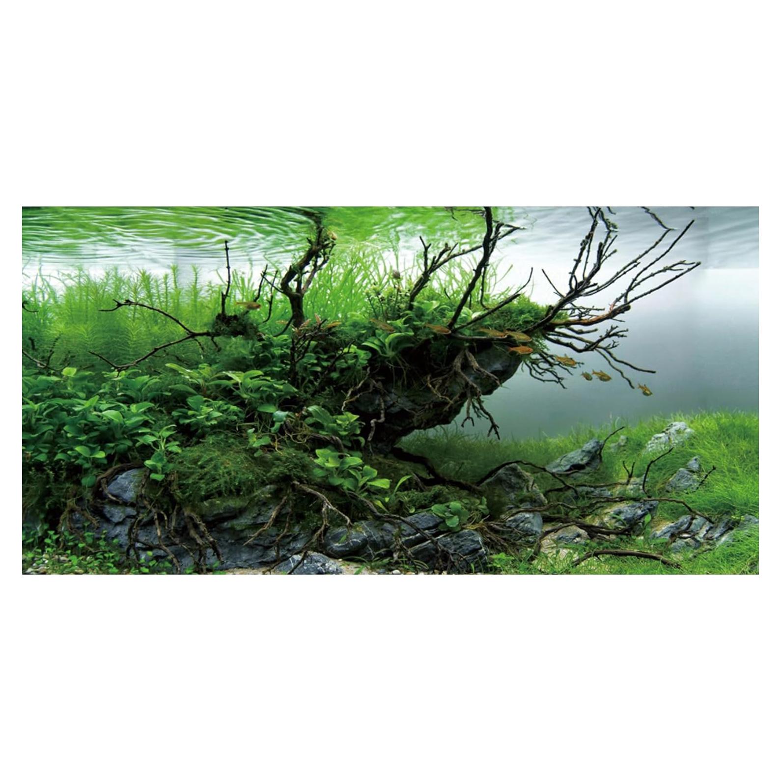 Fondo de Acuario 60x30 cm Vinilo AWERT Realista HD