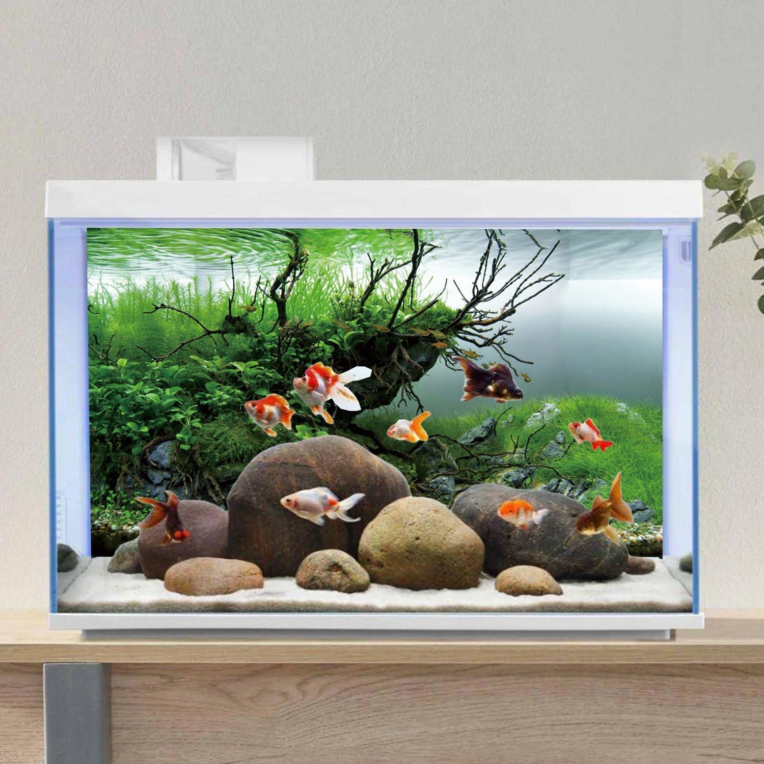 Fondo de Acuario 60x30 cm Vinilo AWERT Realista HD