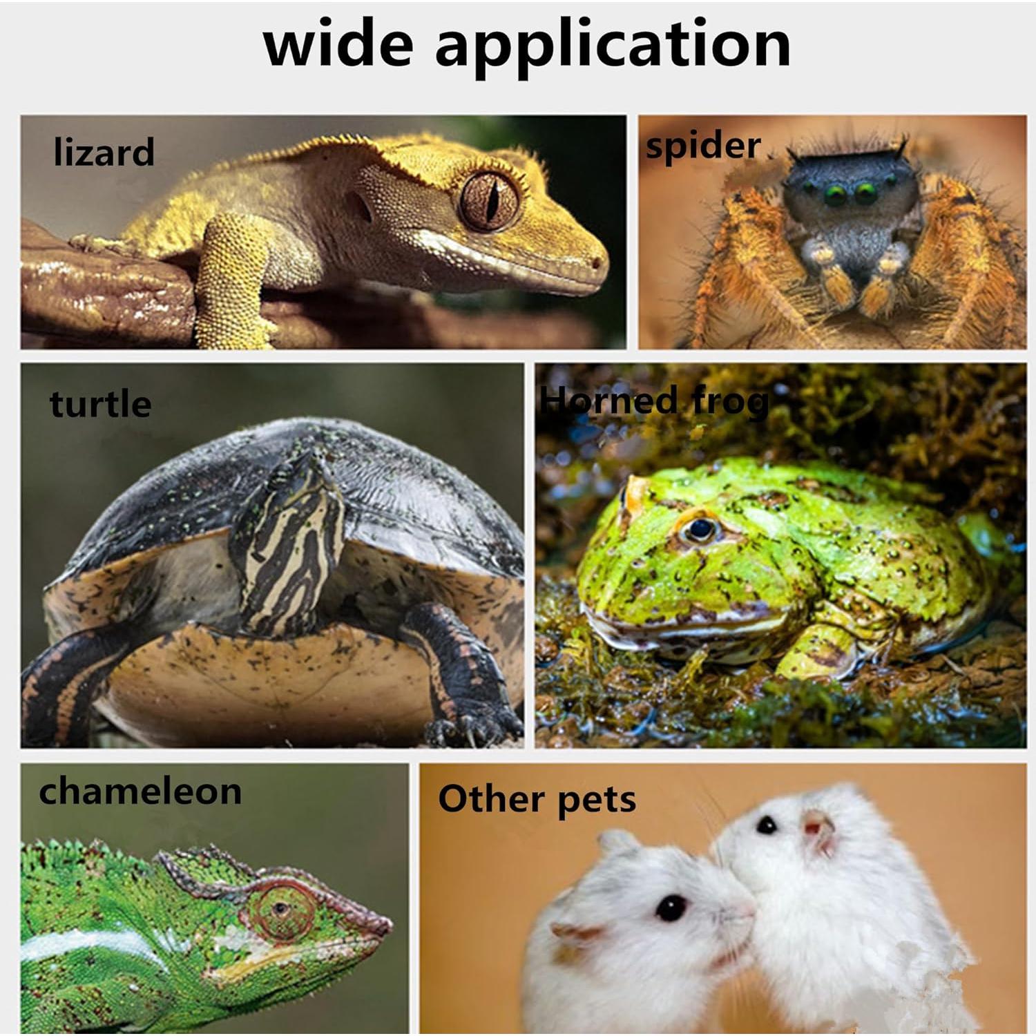 Plataforma de Sol para Tortugas Alfyng S Removible 23x21cm