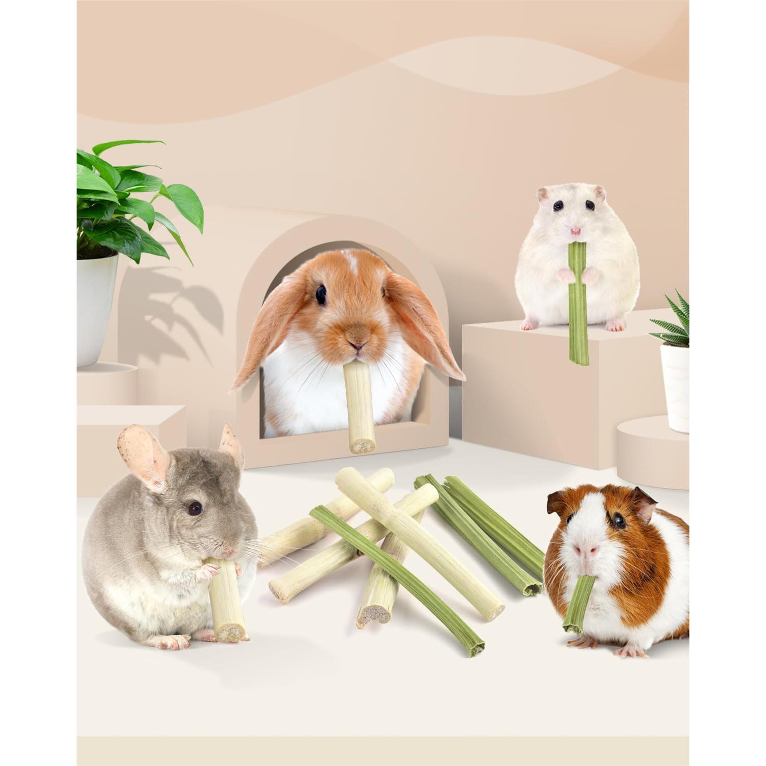 Bissap Palitos Masticables para Conejos y Roedores 40PCS