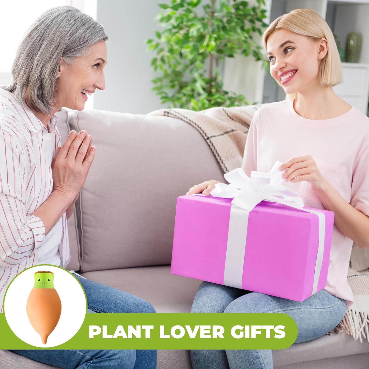 Ollas de Riego Autorriego Terracota KGCCIZI 2 Pcs 0.33L