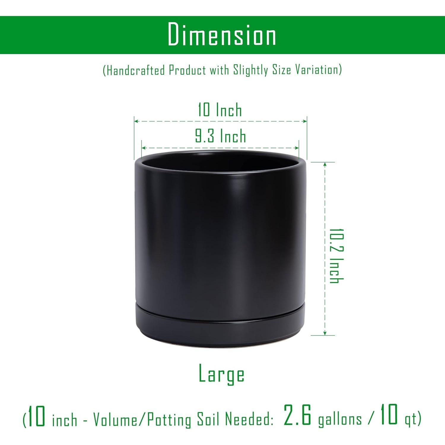Maceta de Cerámica D'vine Dev 25.4 cm con Plato y Drenaje