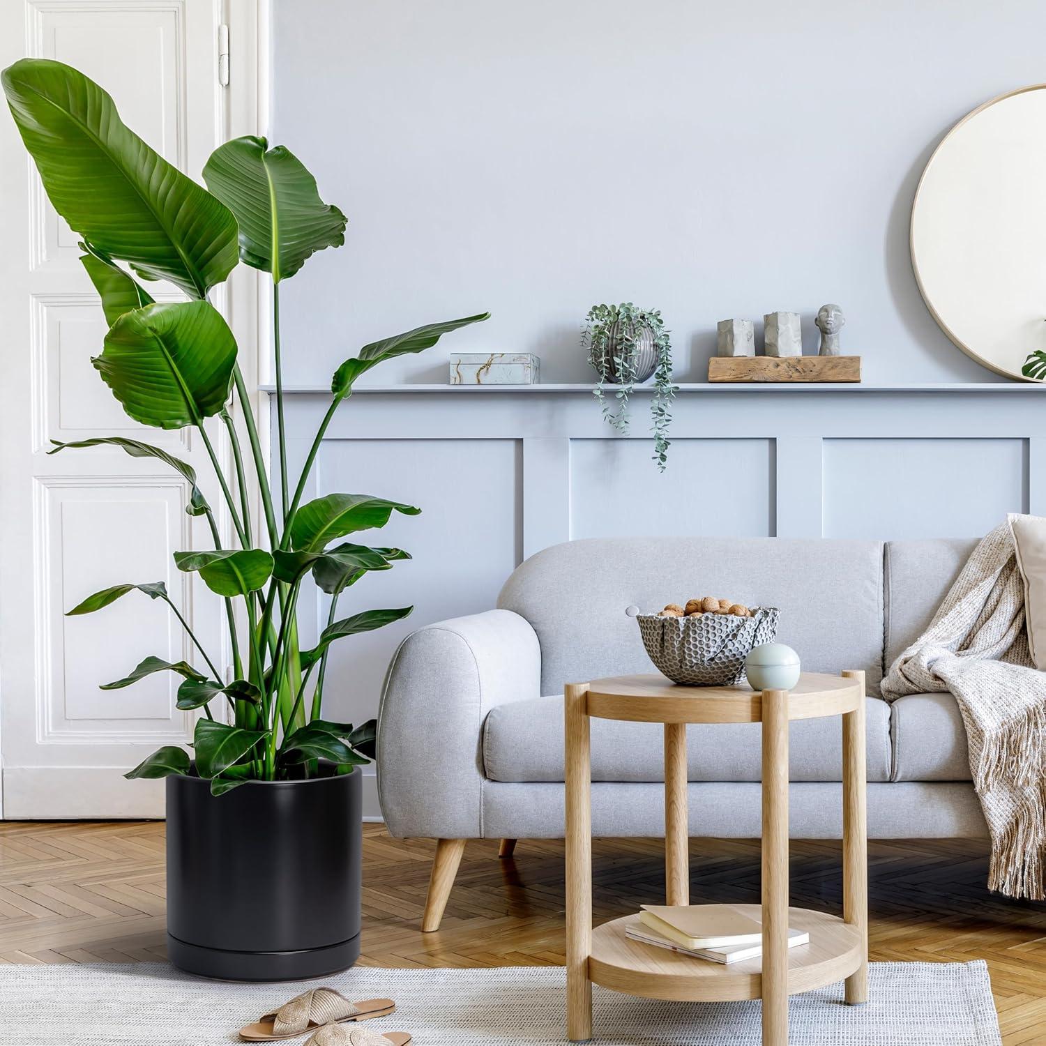 Maceta de Cerámica D'vine Dev 25.4 cm con Plato y Drenaje