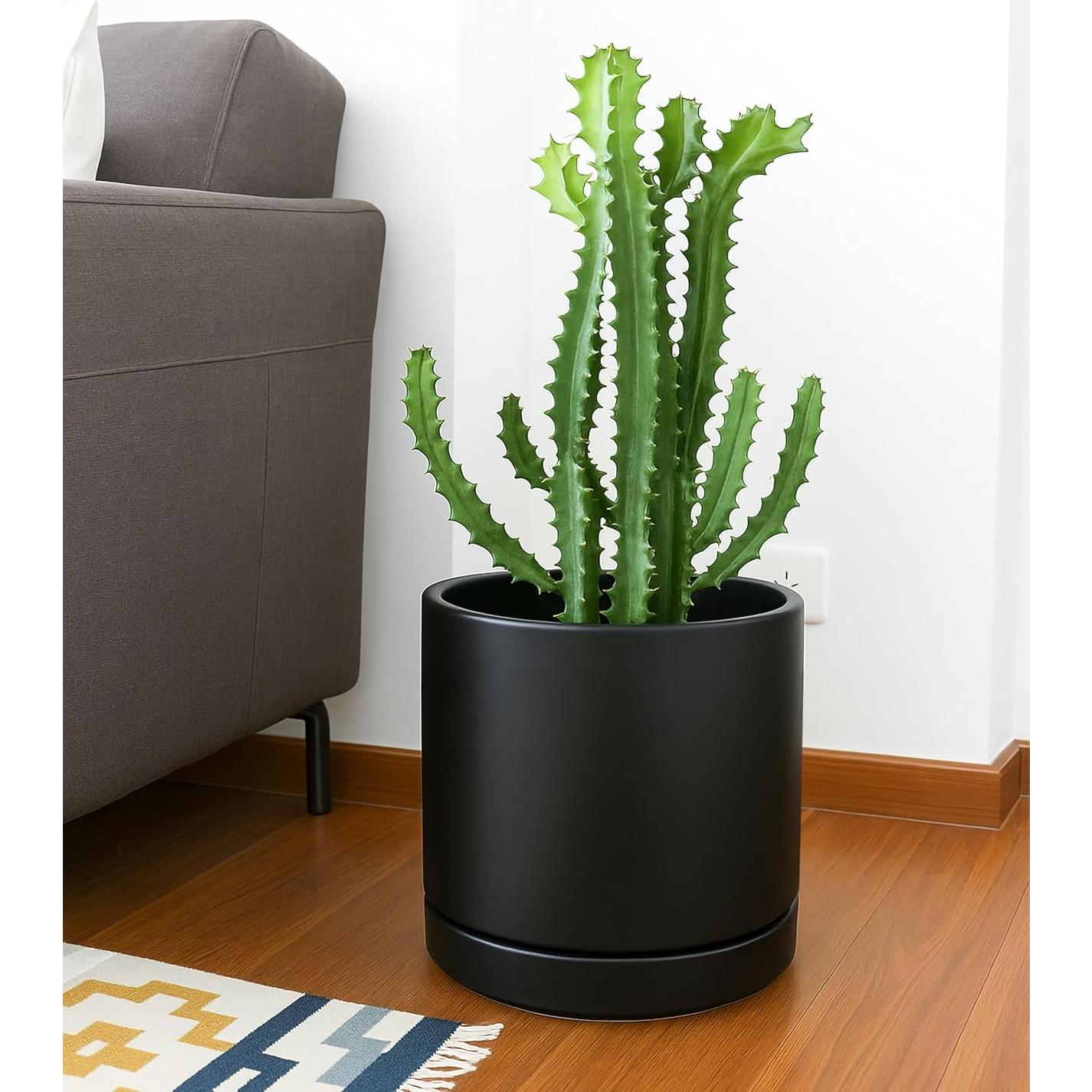 Maceta de Cerámica D'vine Dev 25.4 cm con Plato y Drenaje