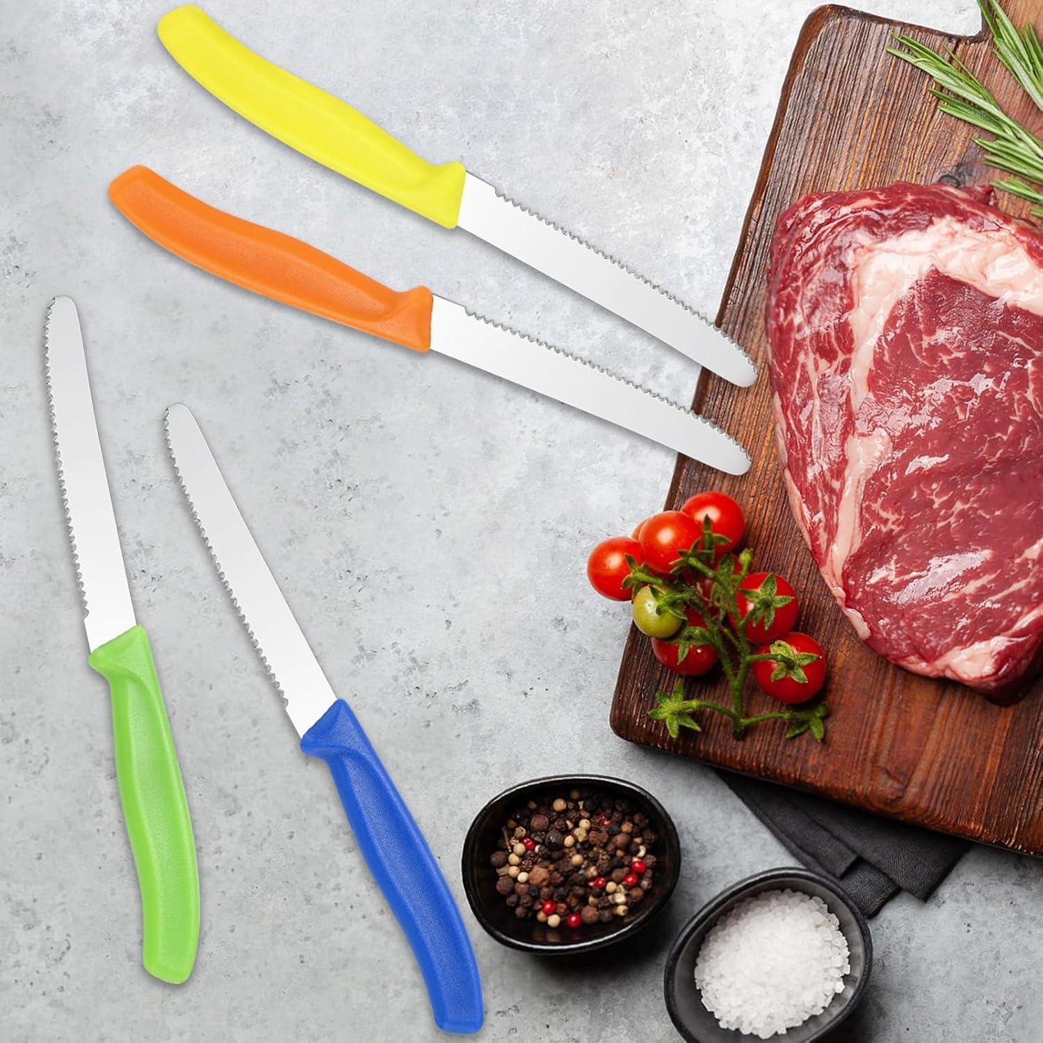 Conjunto de 16 Cuchillos para Carne BEWOS Acero Inoxidable