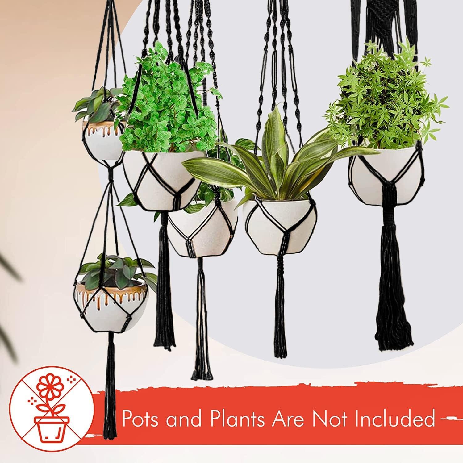 Soportes de Macramé para Plantas Feedee - Paquete de 6, Negro, Algodón