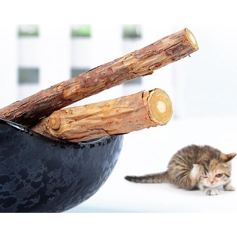 Palos de Silvervine para Gatos WoLover - 12 Unidades Naturales