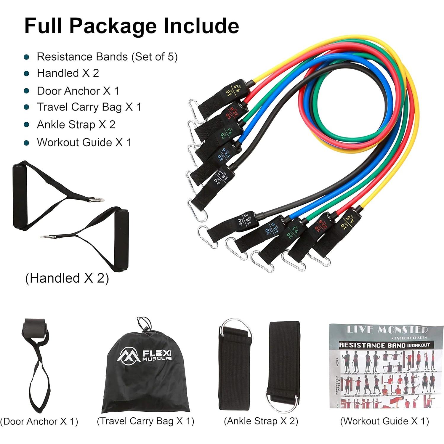 Conjunto de Bandas de Resistencia FLEXI MUSCLES 100 LBS