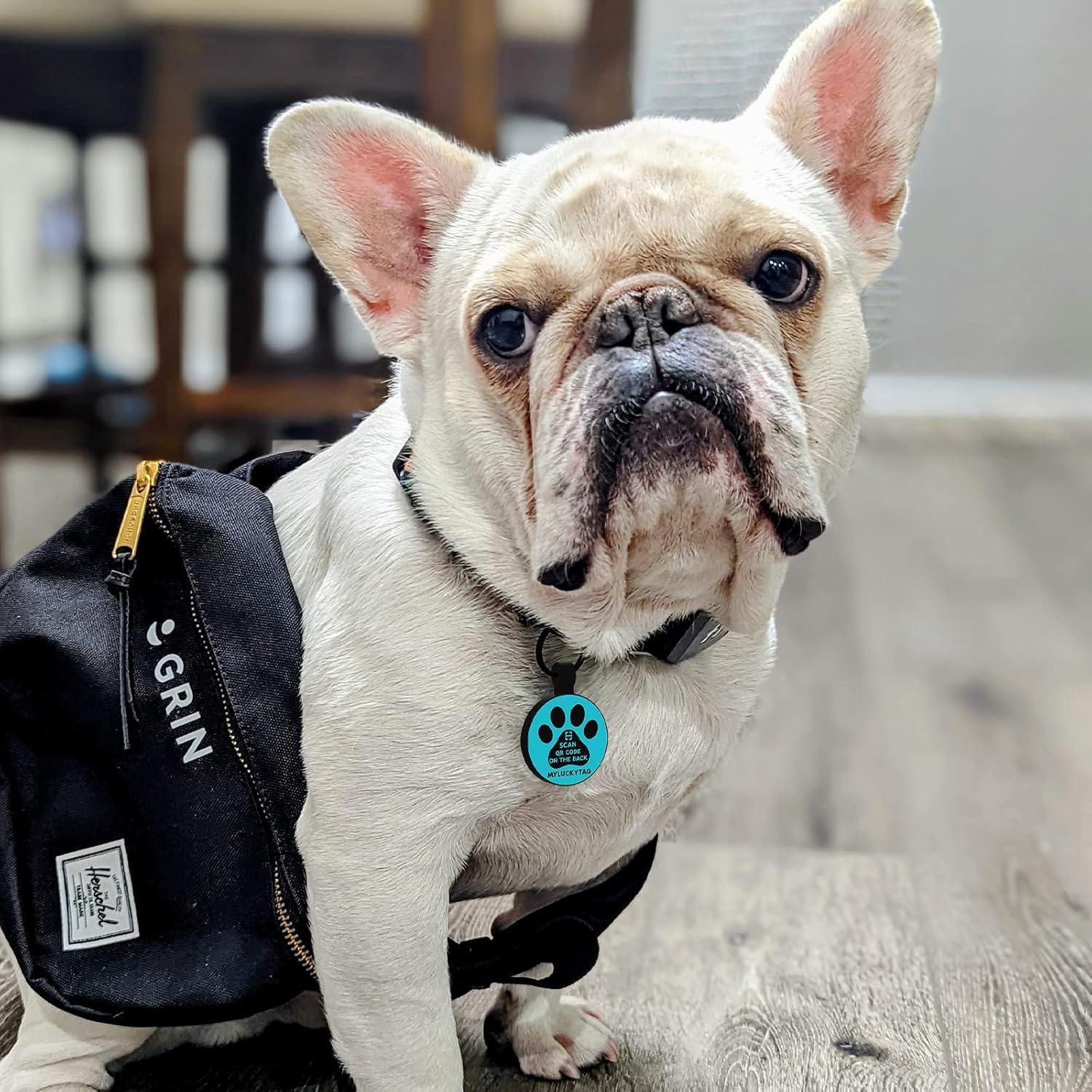 Etiqueta de Identificación QR para Mascotas MYLUCKYTAG - Silicona, Personalizable