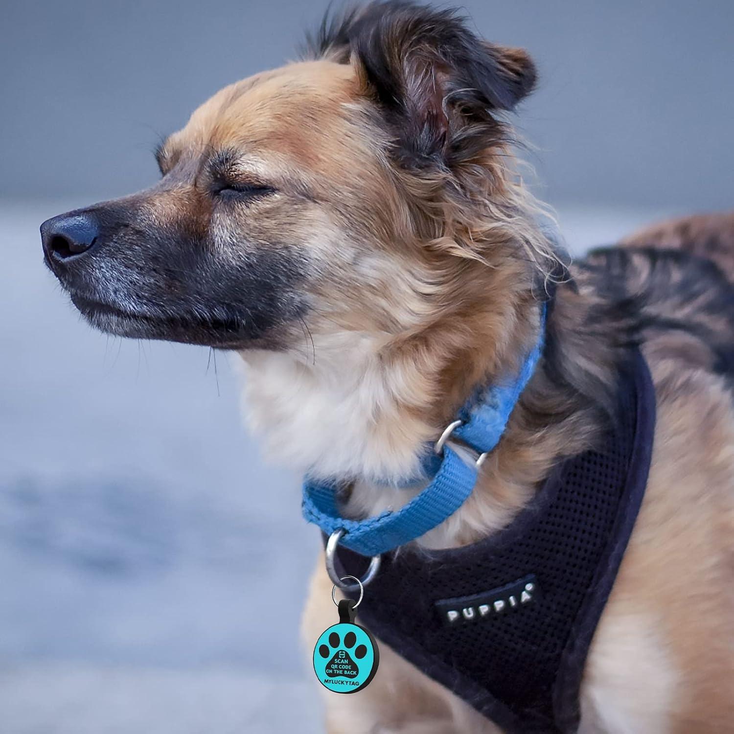 Etiqueta de Identificación QR para Mascotas MYLUCKYTAG - Silicona, Personalizable