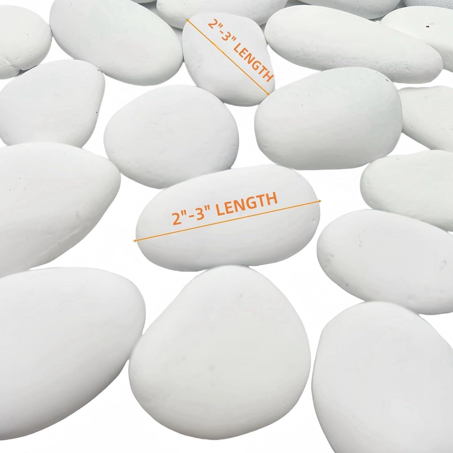 30 Rocas Blancas para Pintar CYLHCM 5-8 cm Manualidades