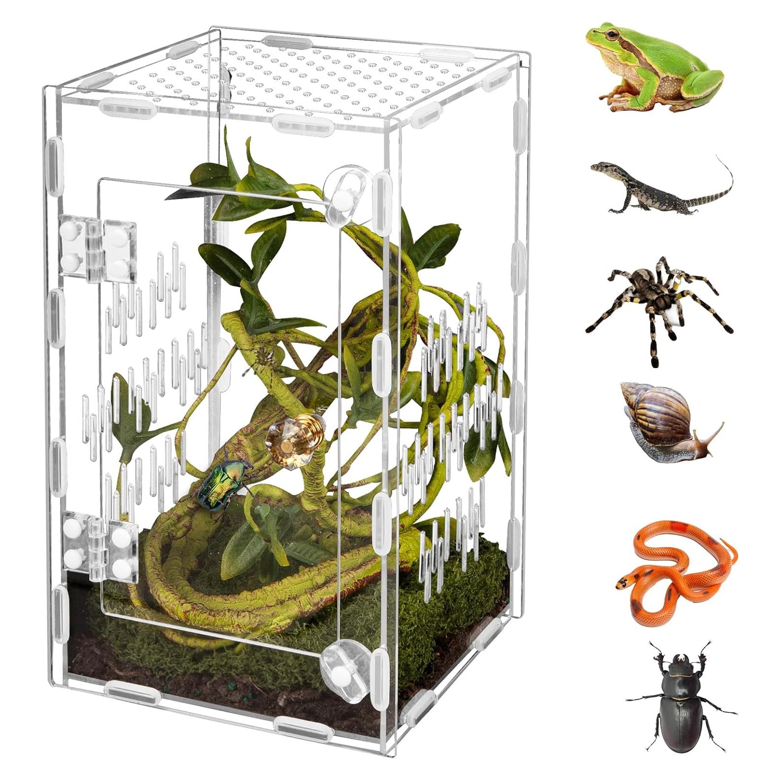 Terrario de Reptiles Orekemo 25.4x15.2x15.2cm Acrílico