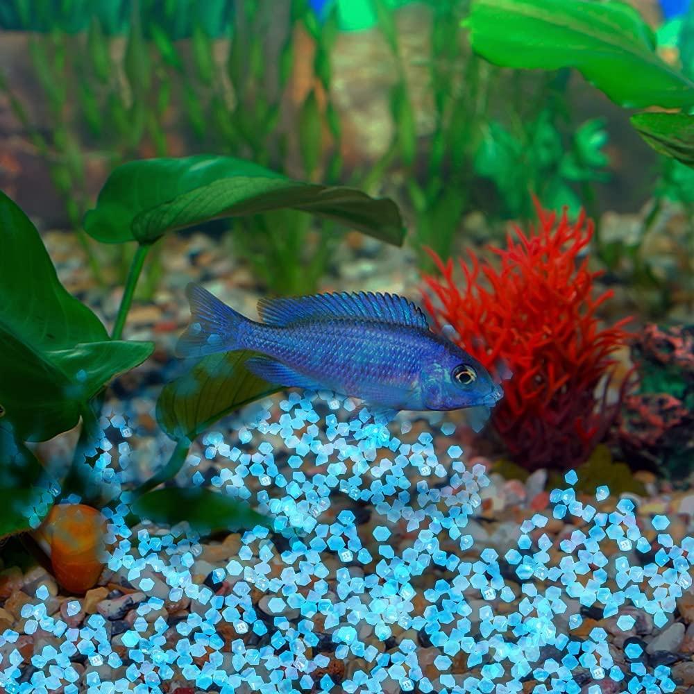 200 Piedras Brillantes Luminiscentes para Jardinería Azul