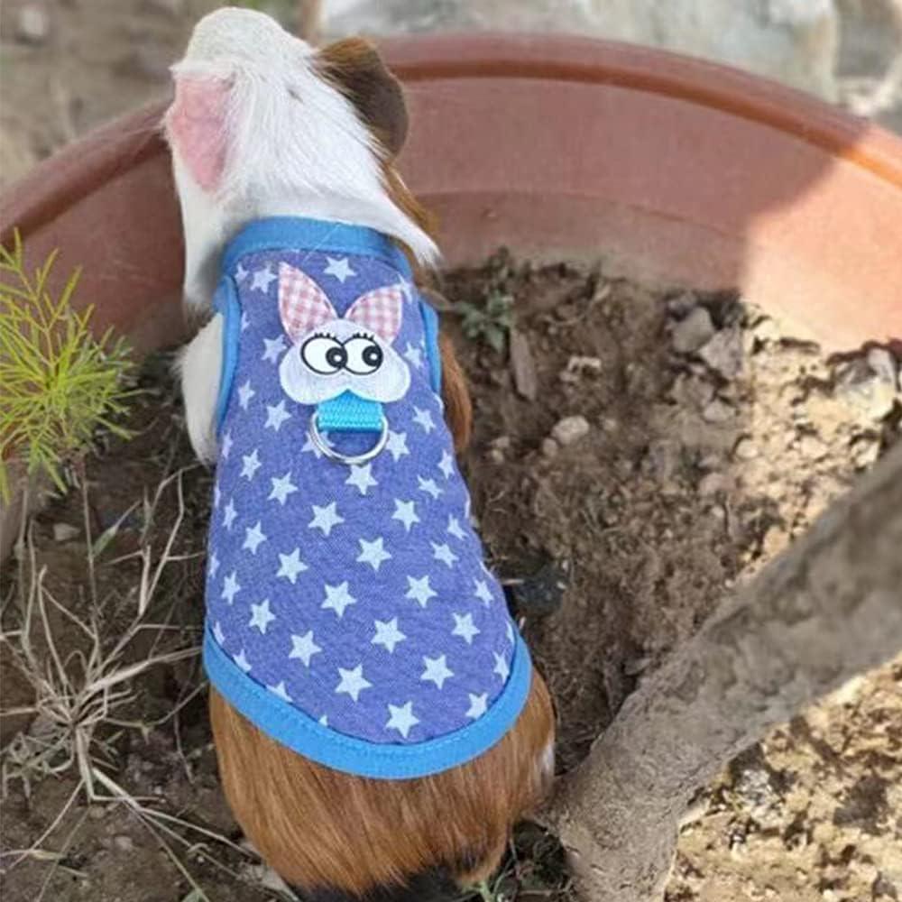 Arnés y Correa para Mascotas Pequeñas Anelekor Tamaño S