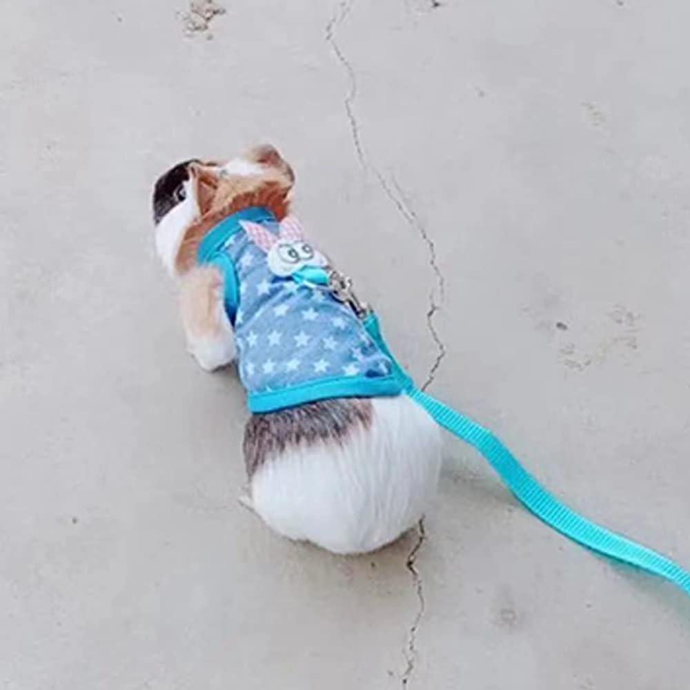 Arnés y Correa para Mascotas Pequeñas Anelekor Tamaño S