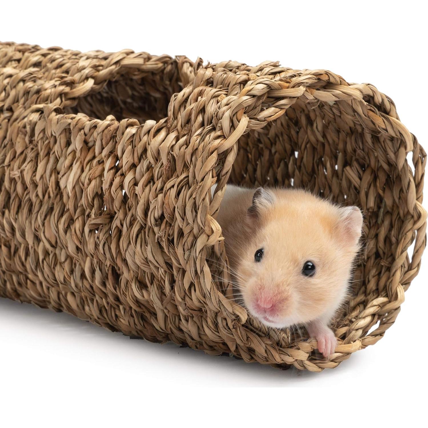 Túnel Creativo para Hámster Niteangel - 19.05 cm de Hierba Marina