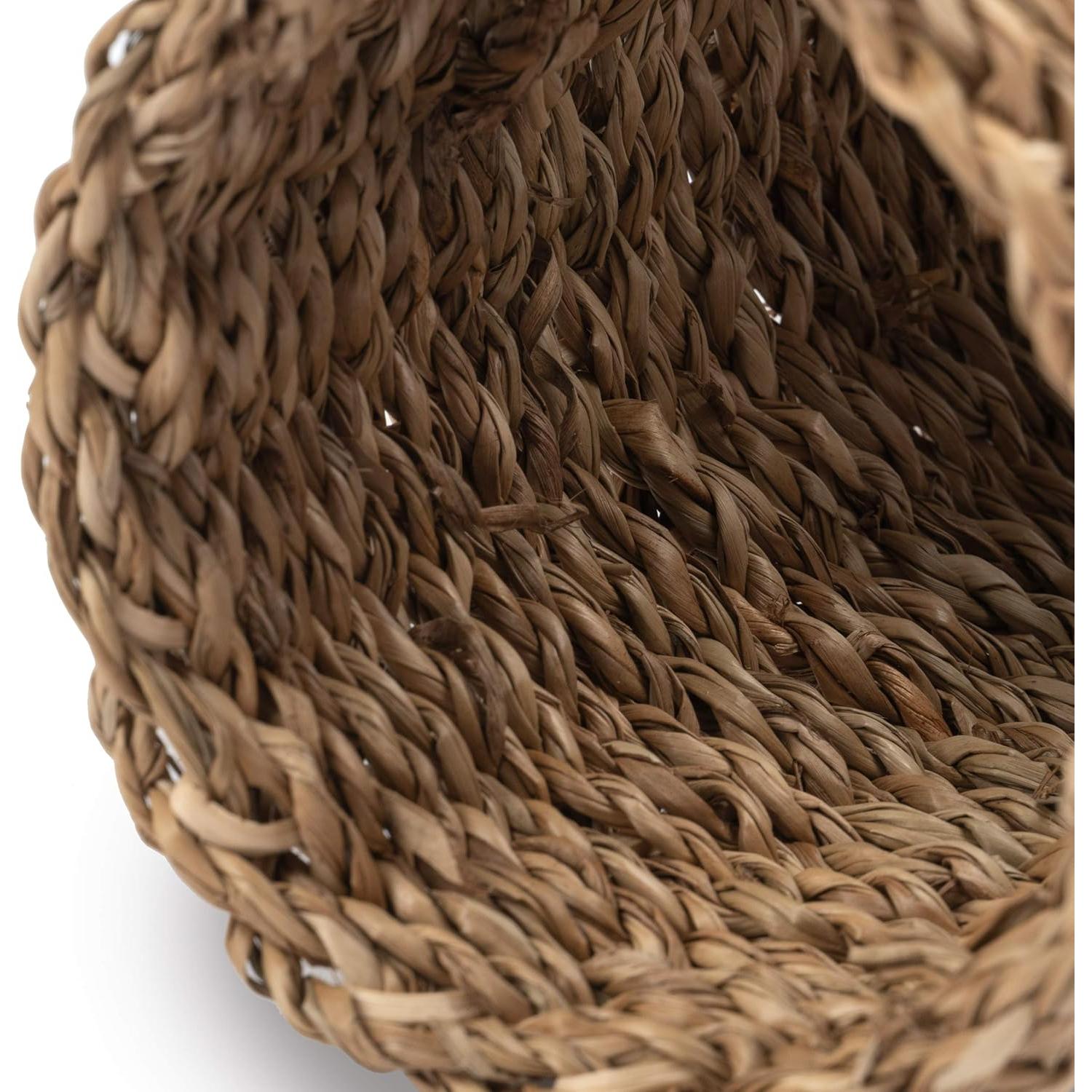 Túnel Creativo para Hámster Niteangel - 19.05 cm de Hierba Marina