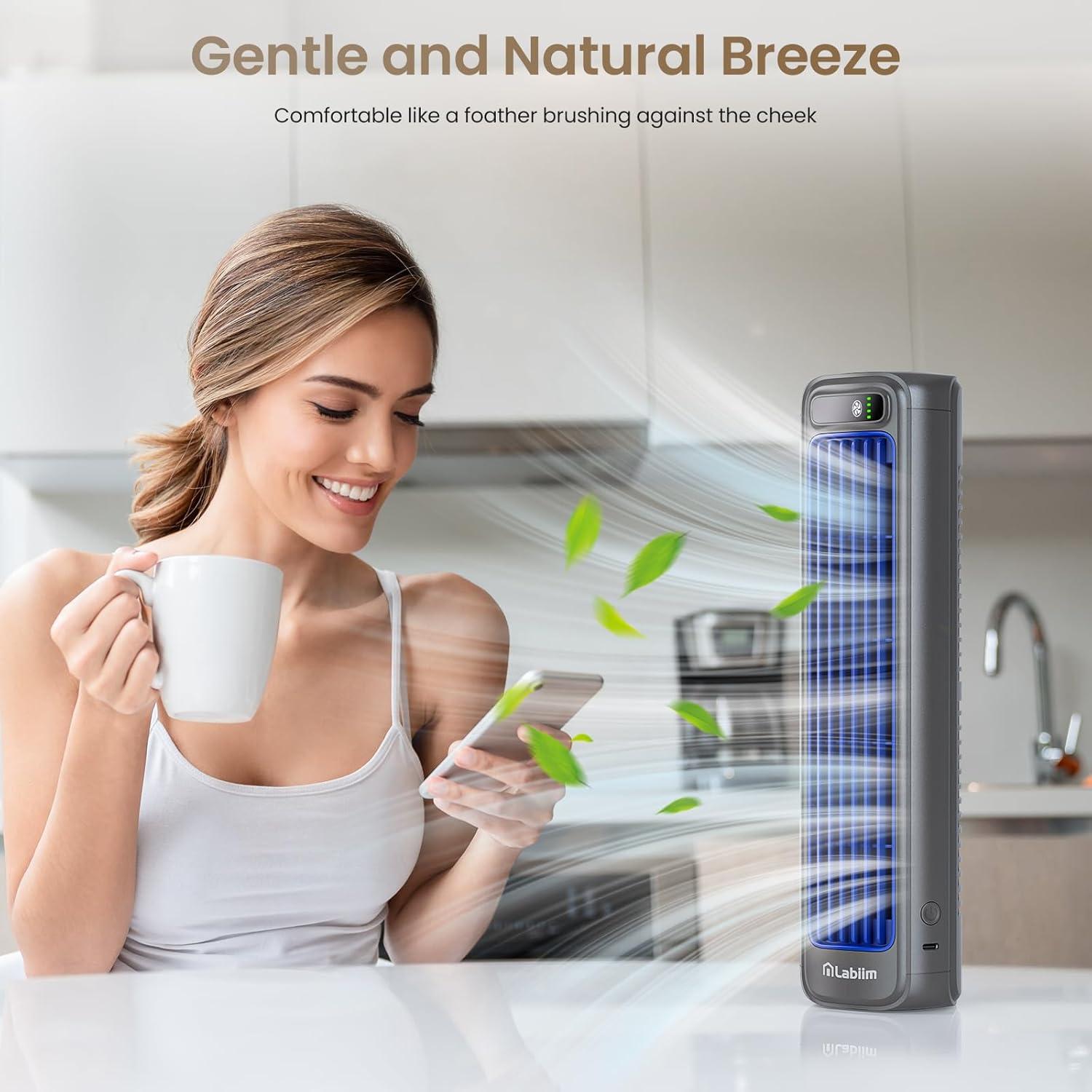 Ventilador de Escritorio Labiim LA-06 Recargable 5000mAh 12"