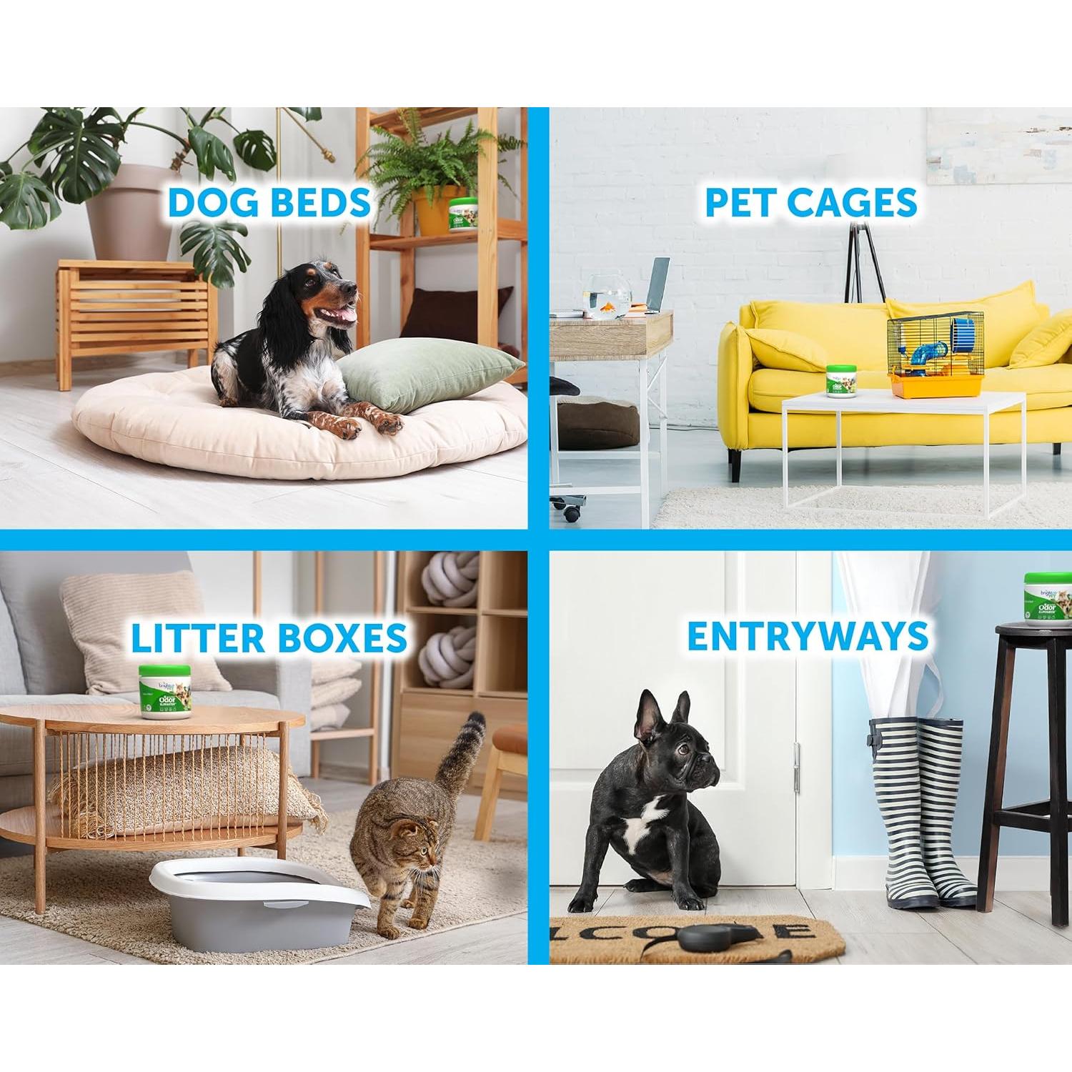 Eliminador de Olores Bright Air 14 oz Cítrico Fresco - 6 Piezas