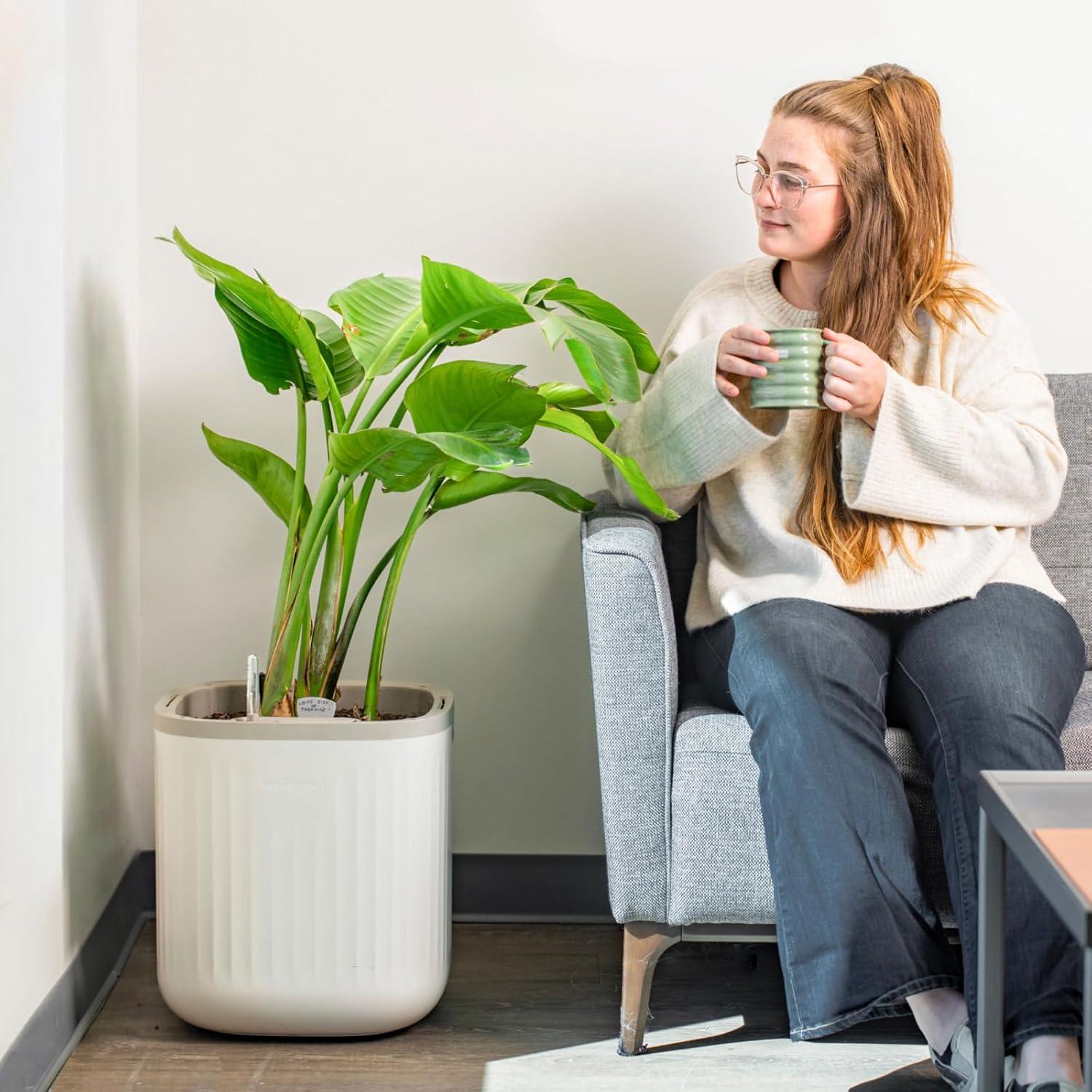 Maceta Autorriego Vego Garden 38.1 cm Blanco Crema para Interior