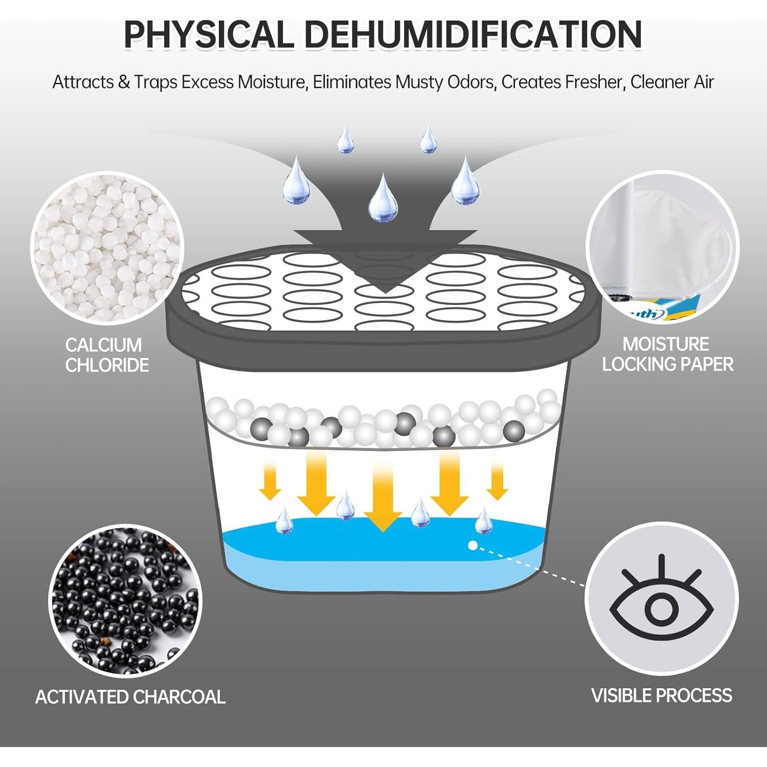 Deshumidificador NATRUTH 12.5 oz Carbón Activado 6-Pack