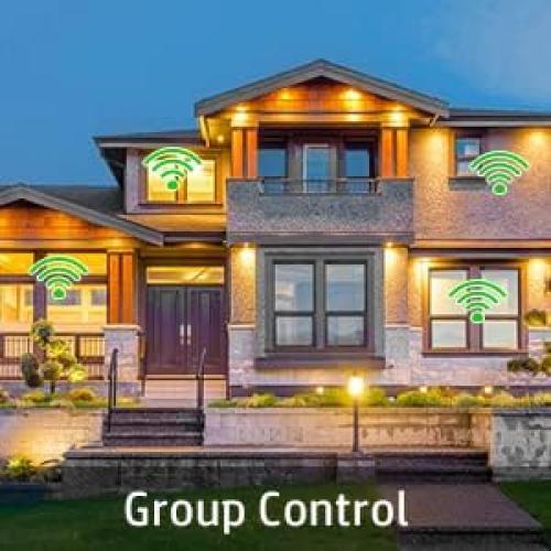 Interruptor Inteligente Avatar Controls WiFi con Control Remoto