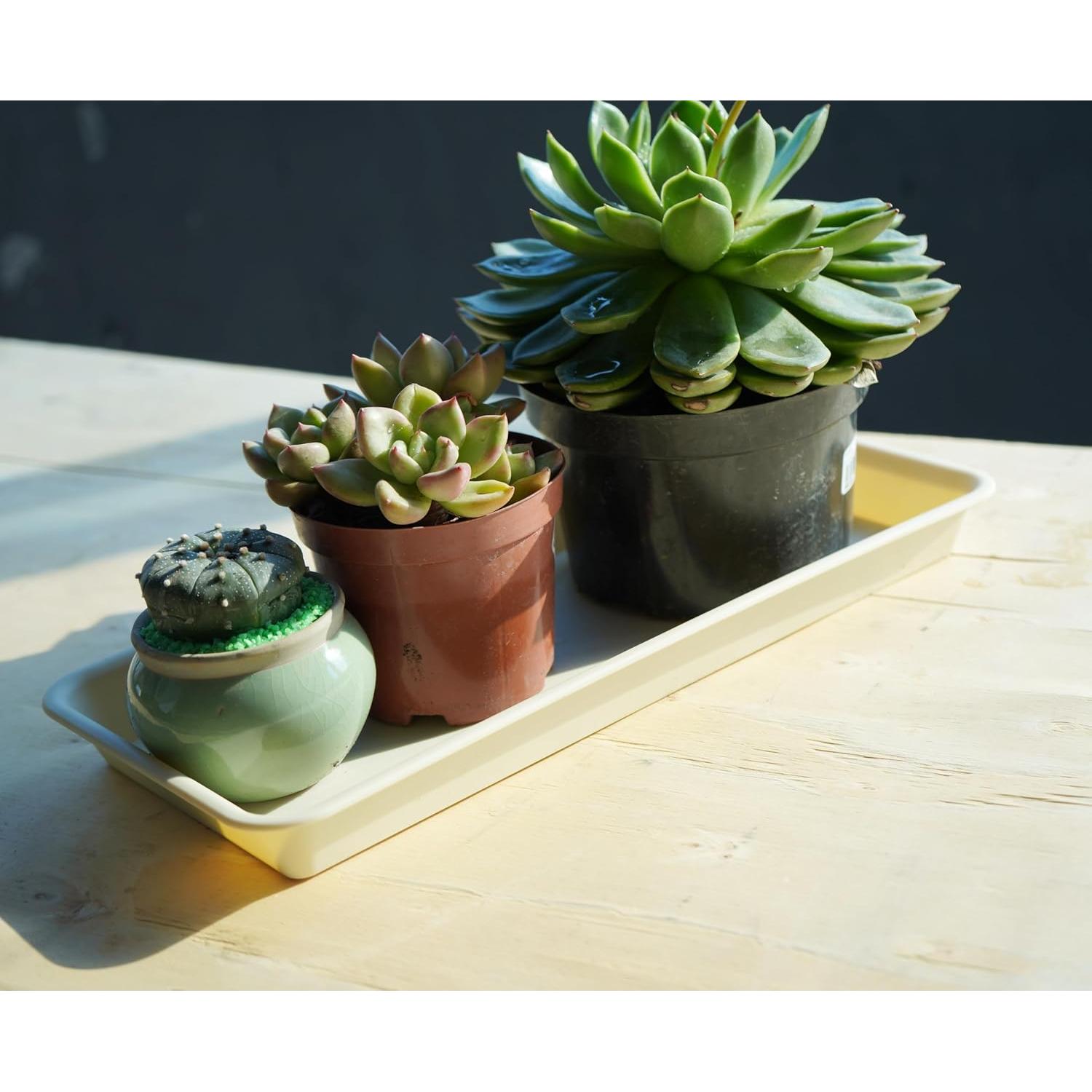 Paquete de 6 bandejas de goteo VUWEZ para plantas 27.94x15.24cm beige