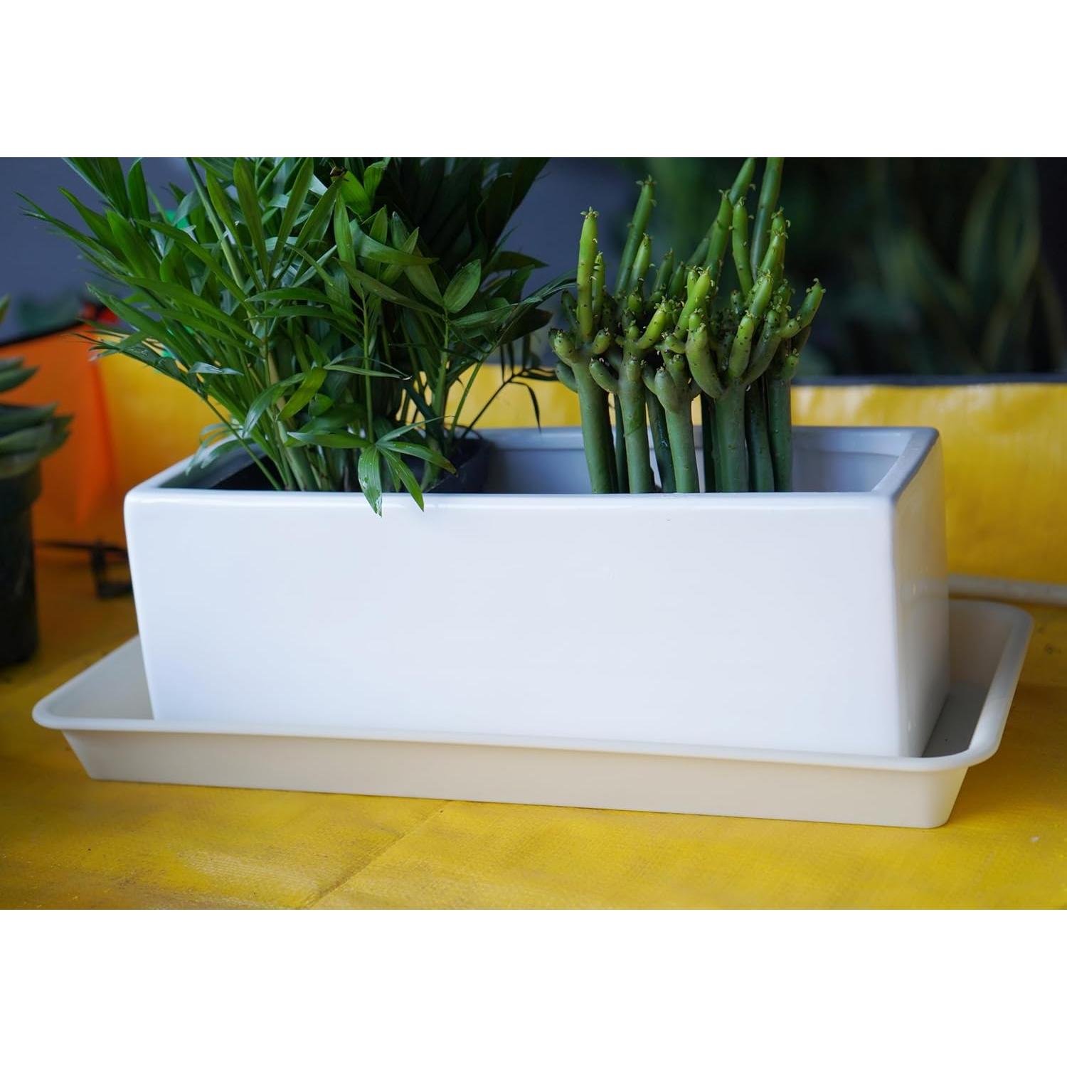Paquete de 6 bandejas de goteo VUWEZ para plantas 27.94x15.24cm beige