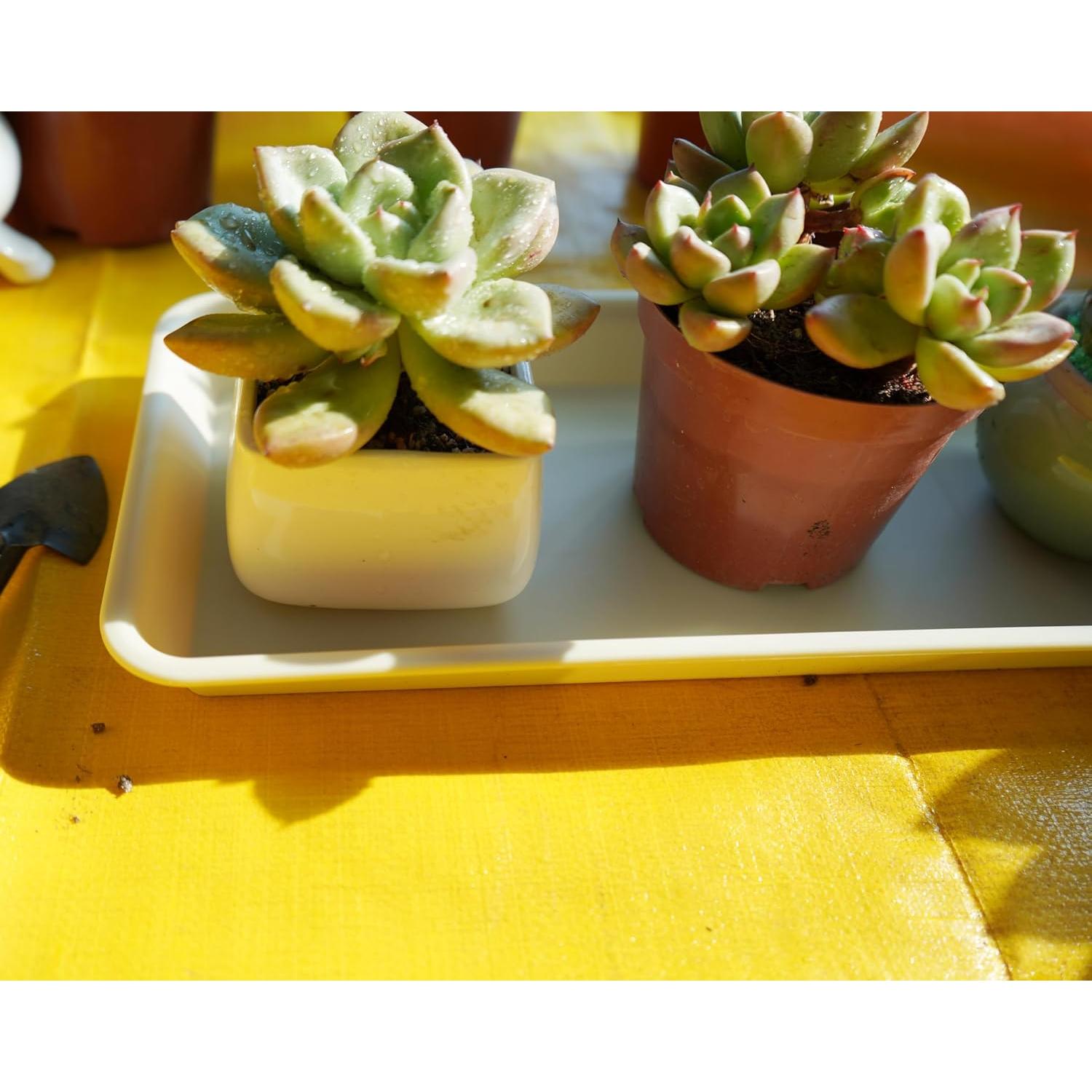 Paquete de 6 bandejas de goteo VUWEZ para plantas 27.94x15.24cm beige