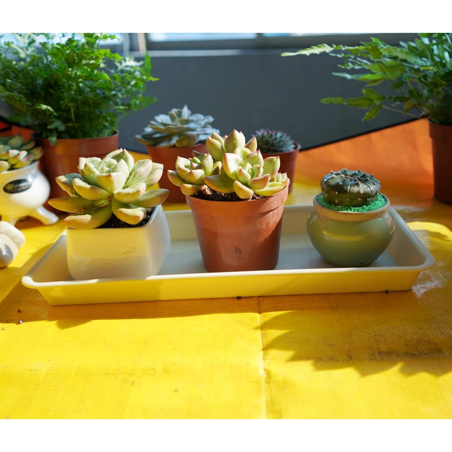 Paquete de 6 bandejas de goteo VUWEZ para plantas 27.94x15.24cm beige