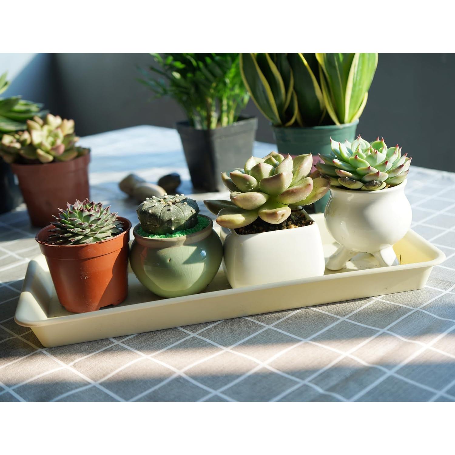 Paquete de 6 bandejas de goteo VUWEZ para plantas 27.94x15.24cm beige