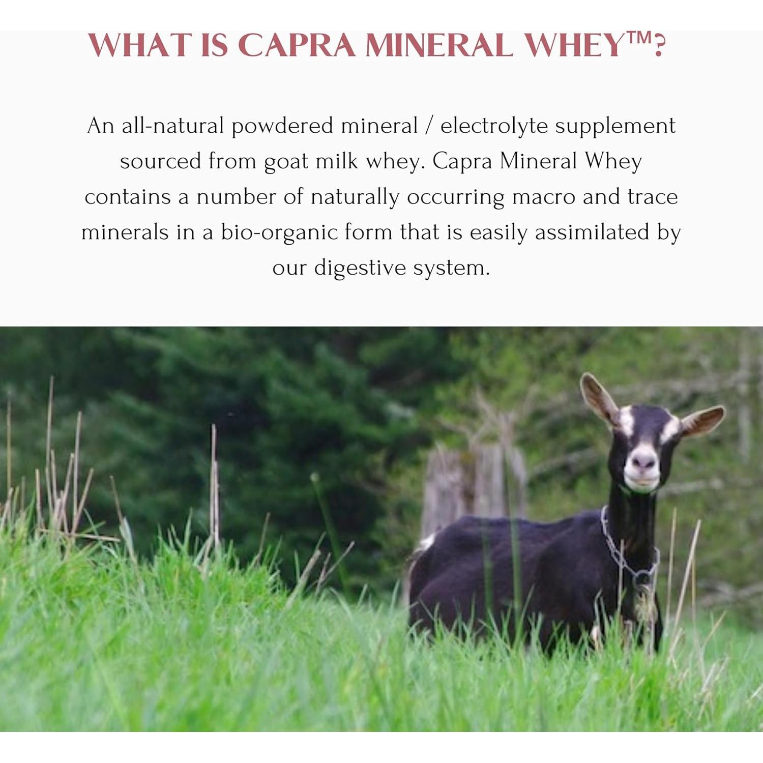 Suplemento en Polvo de Minerales Mt. Capra 720 g - Alcalinizante