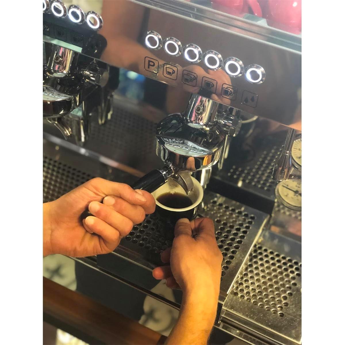 Desincrustante Gaggia 250ml Pack de 2 para Espresso