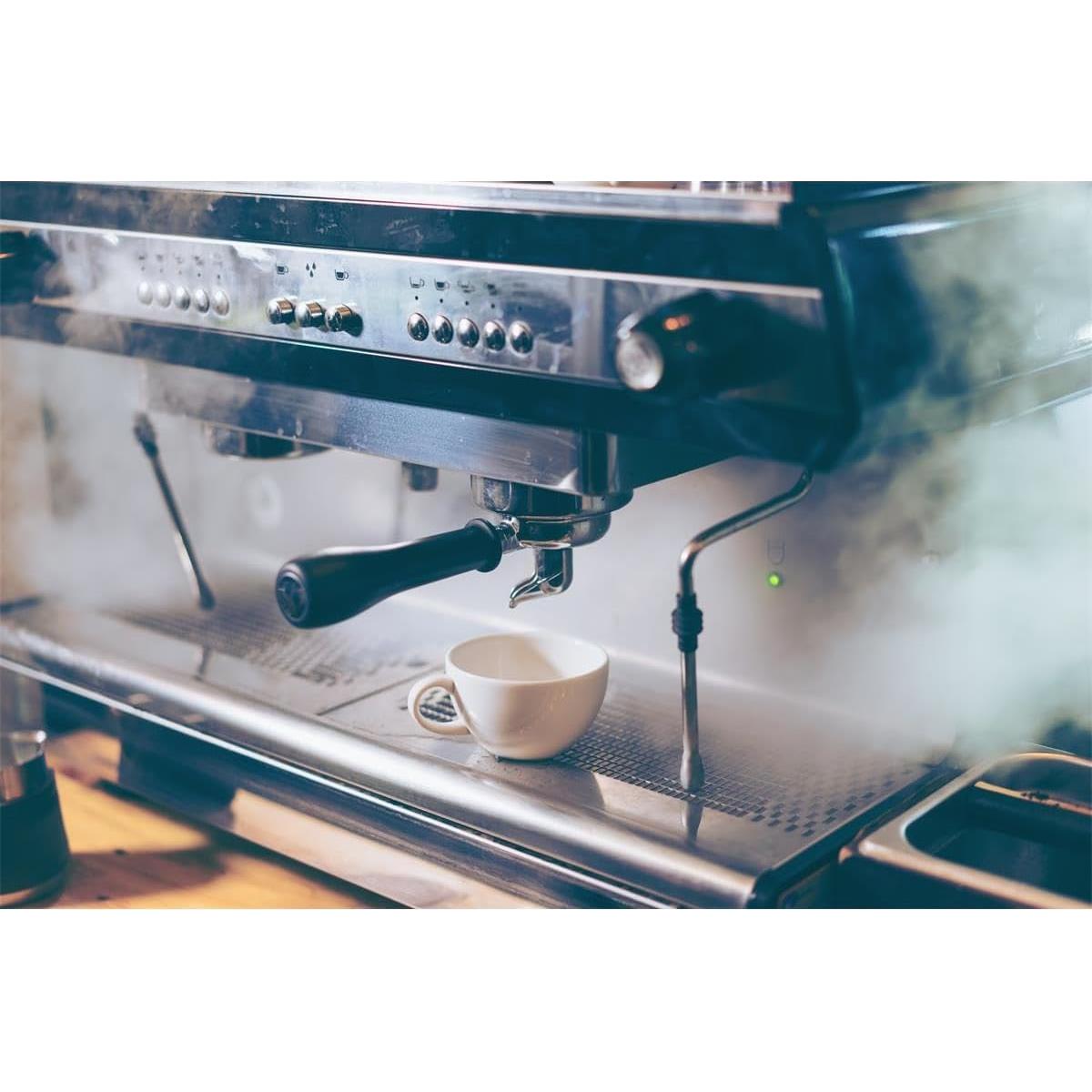 Desincrustante Gaggia 250ml Pack de 2 para Espresso