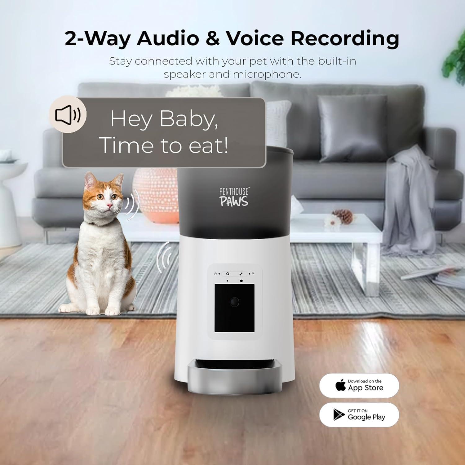 Comedero Inteligente PENTHOUSE PAWS 6L HD 1080p para Gatos