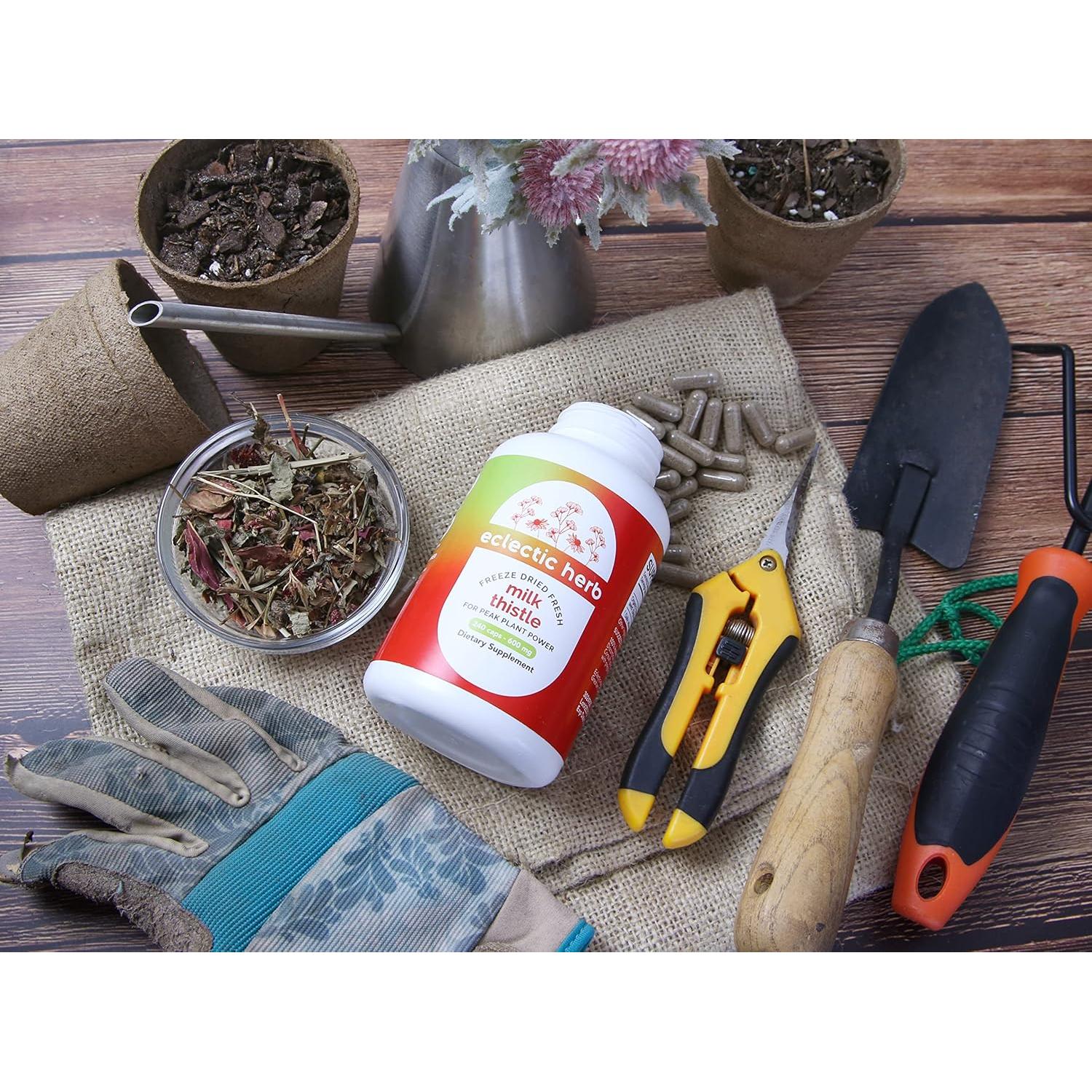 Leche de Cardo Liofilizada Cruda Instituto Eclético 240 Cápsulas