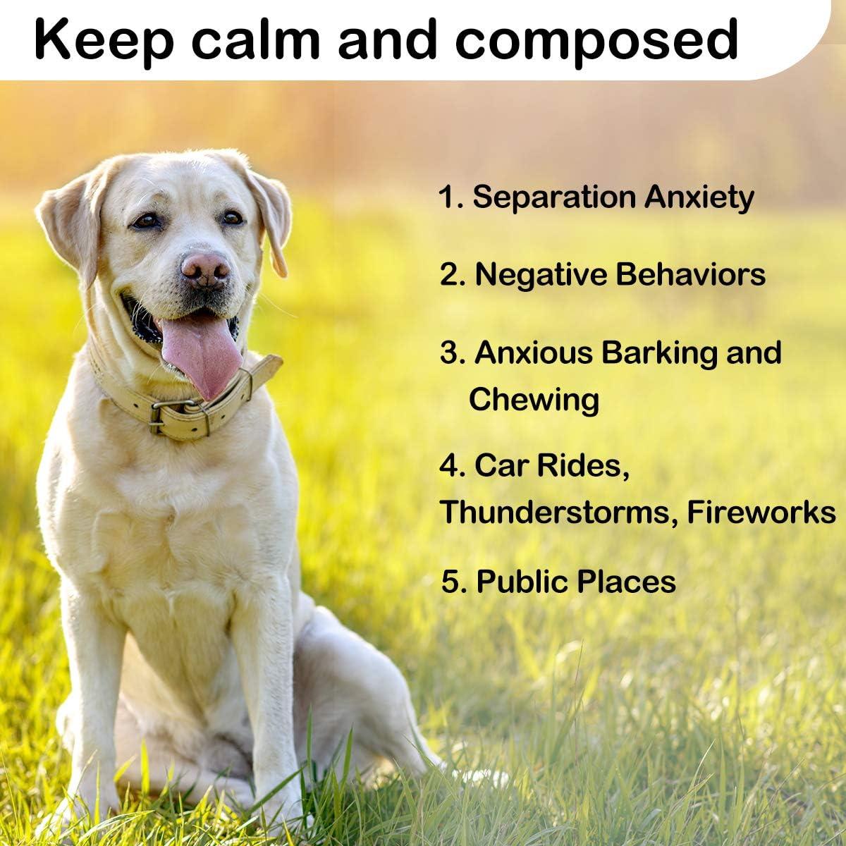 Juguete de peluche con latido Moropaky para perros 248g