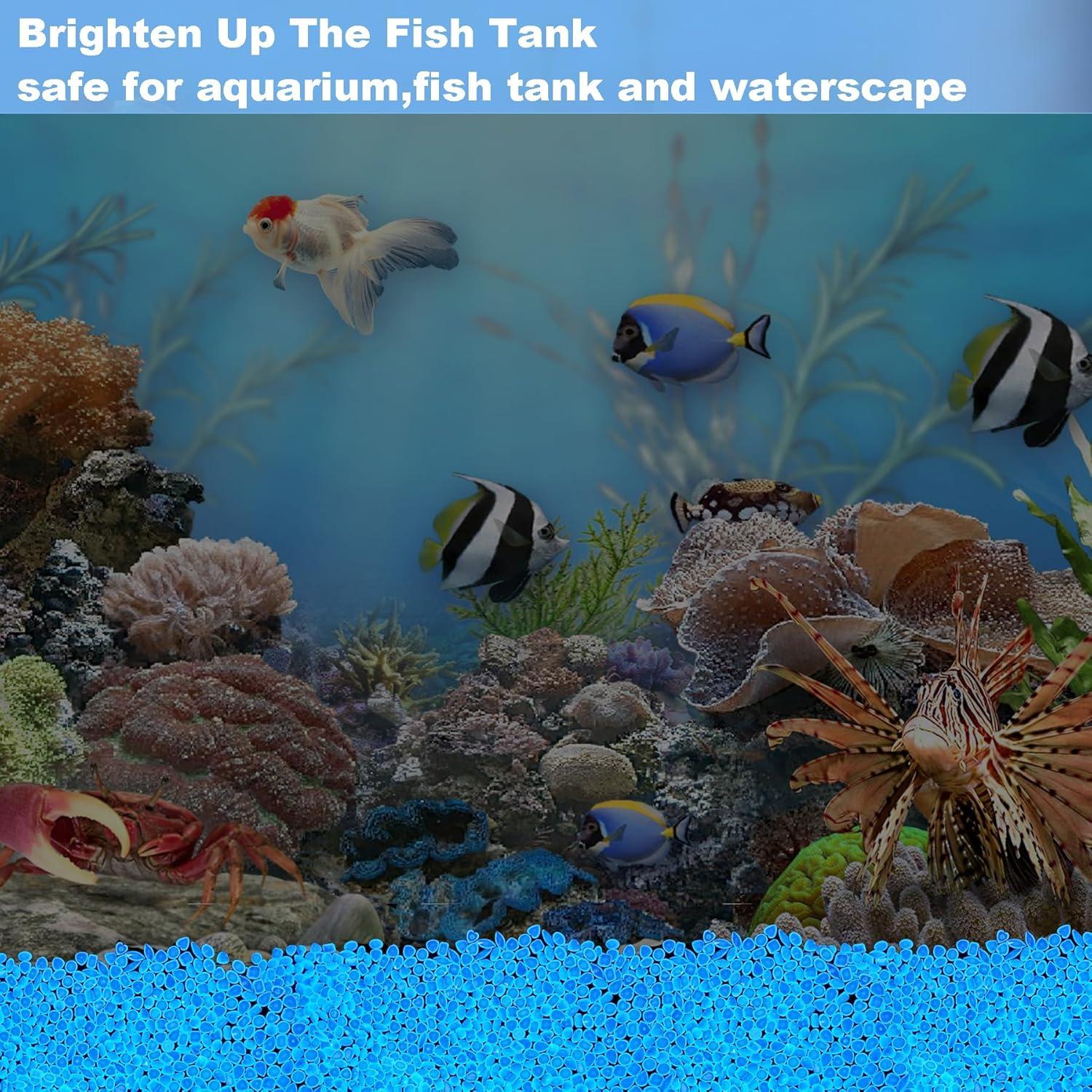 300 Piedras Brillantes Luminiscentes Azul - Decoración Jardín