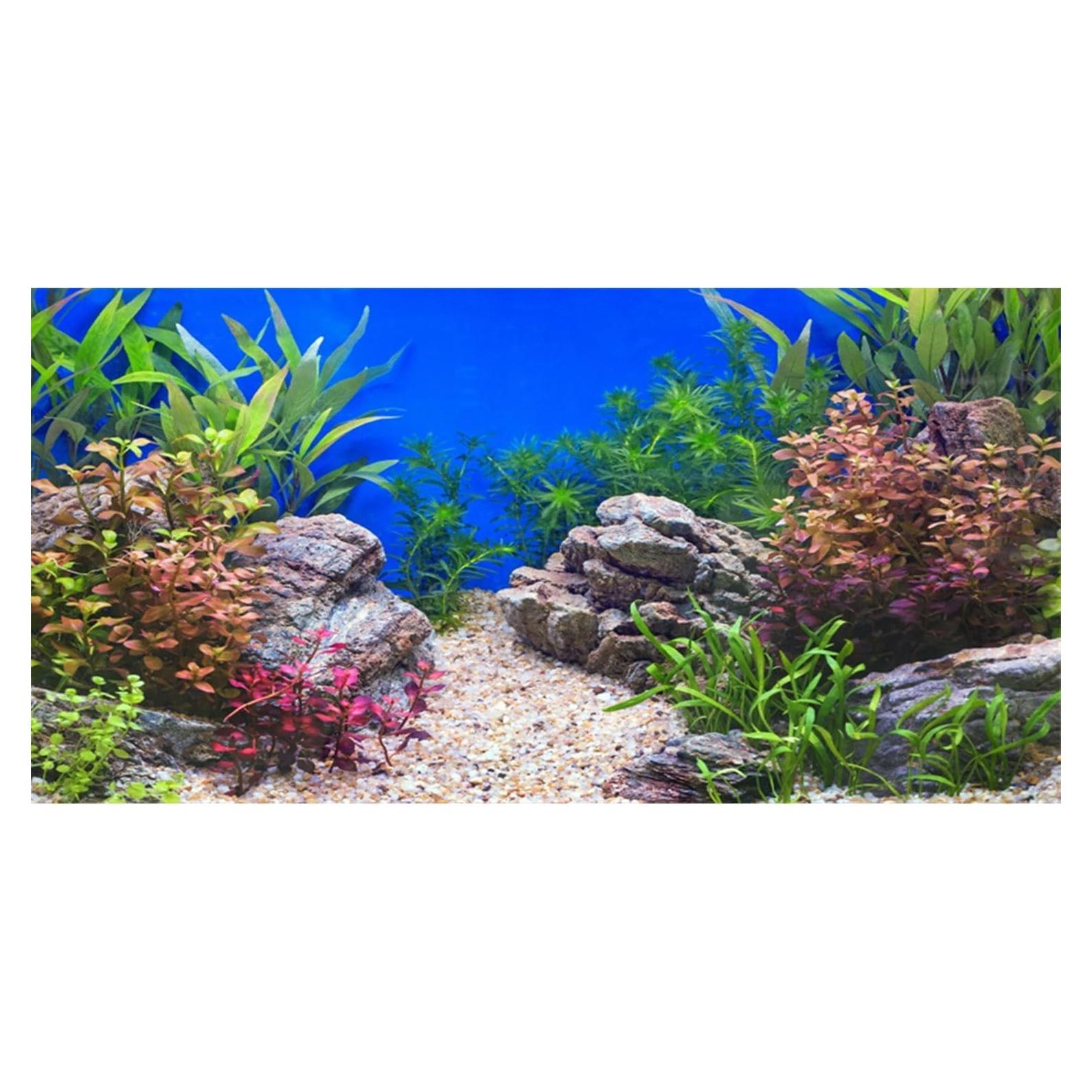 Fondo de Acuario Vinilo AWERT 60x30 cm Plantas Acuáticas